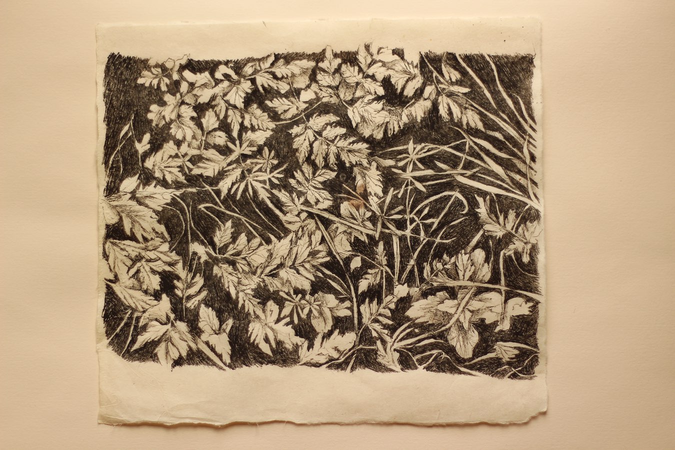  ‘Footpath, Foliage’, Indian ink on Lokta paper, 28x25cm, April 2021