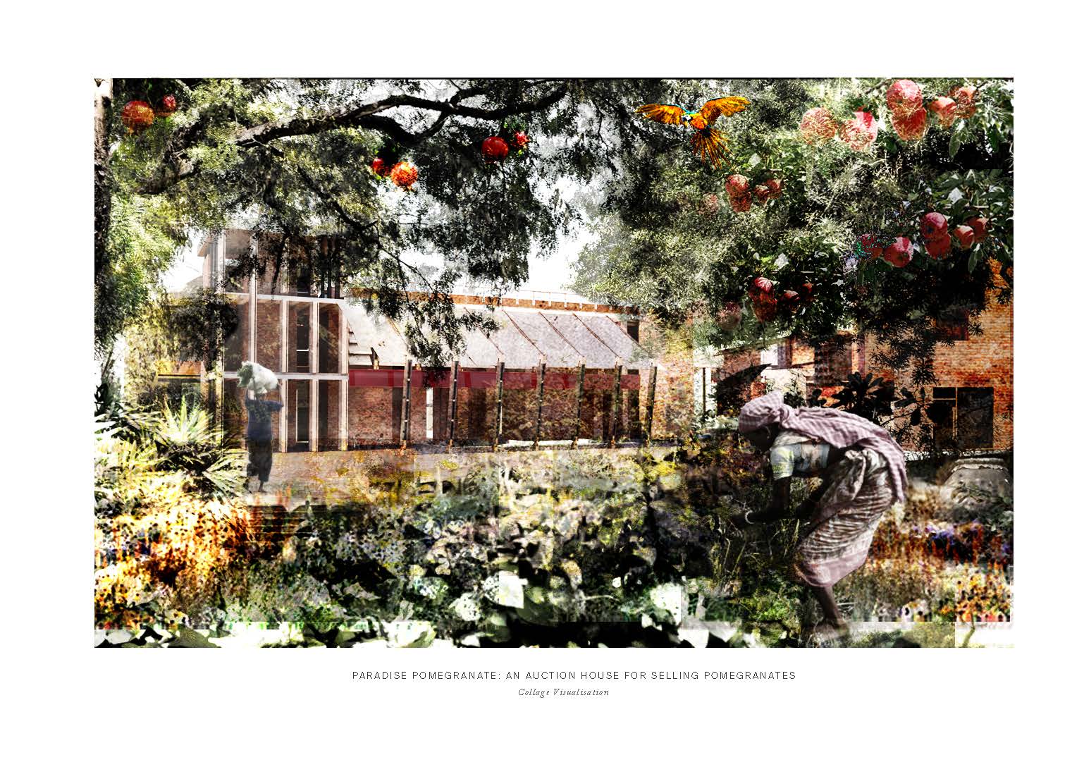Visualisation - Paradise Pomegranate