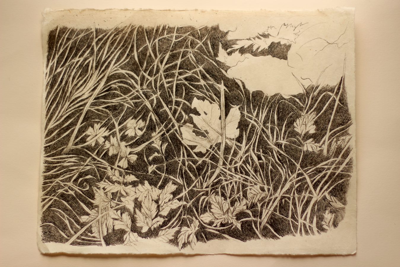 ‘Driveway, Leaf’, Indian ink on Lokta paper, 36x28cm, April 2021