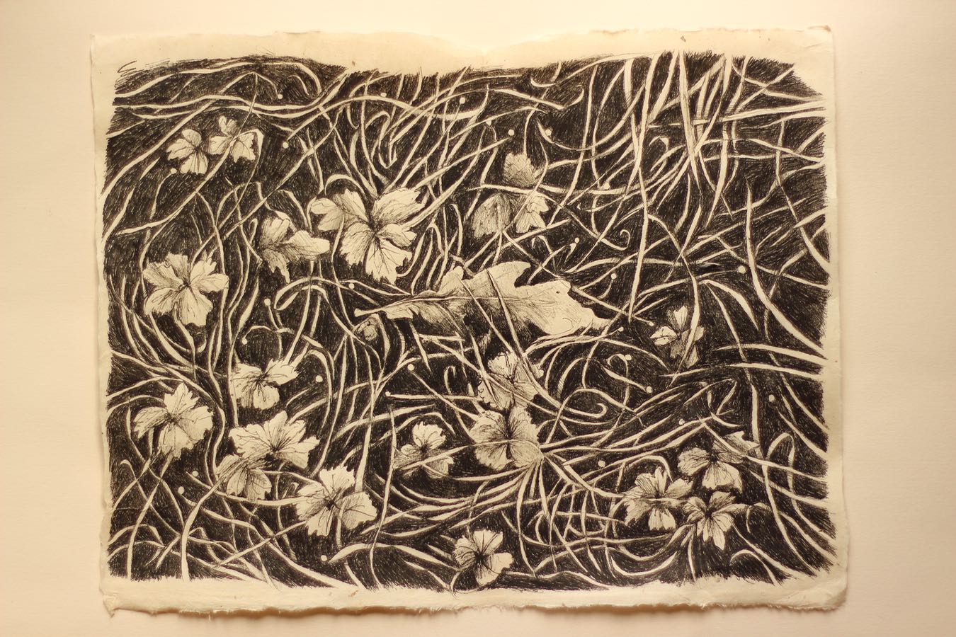 ‘Garden, Leaf (2)’, Indian ink on Lokta paper, 36x28cm, 2021