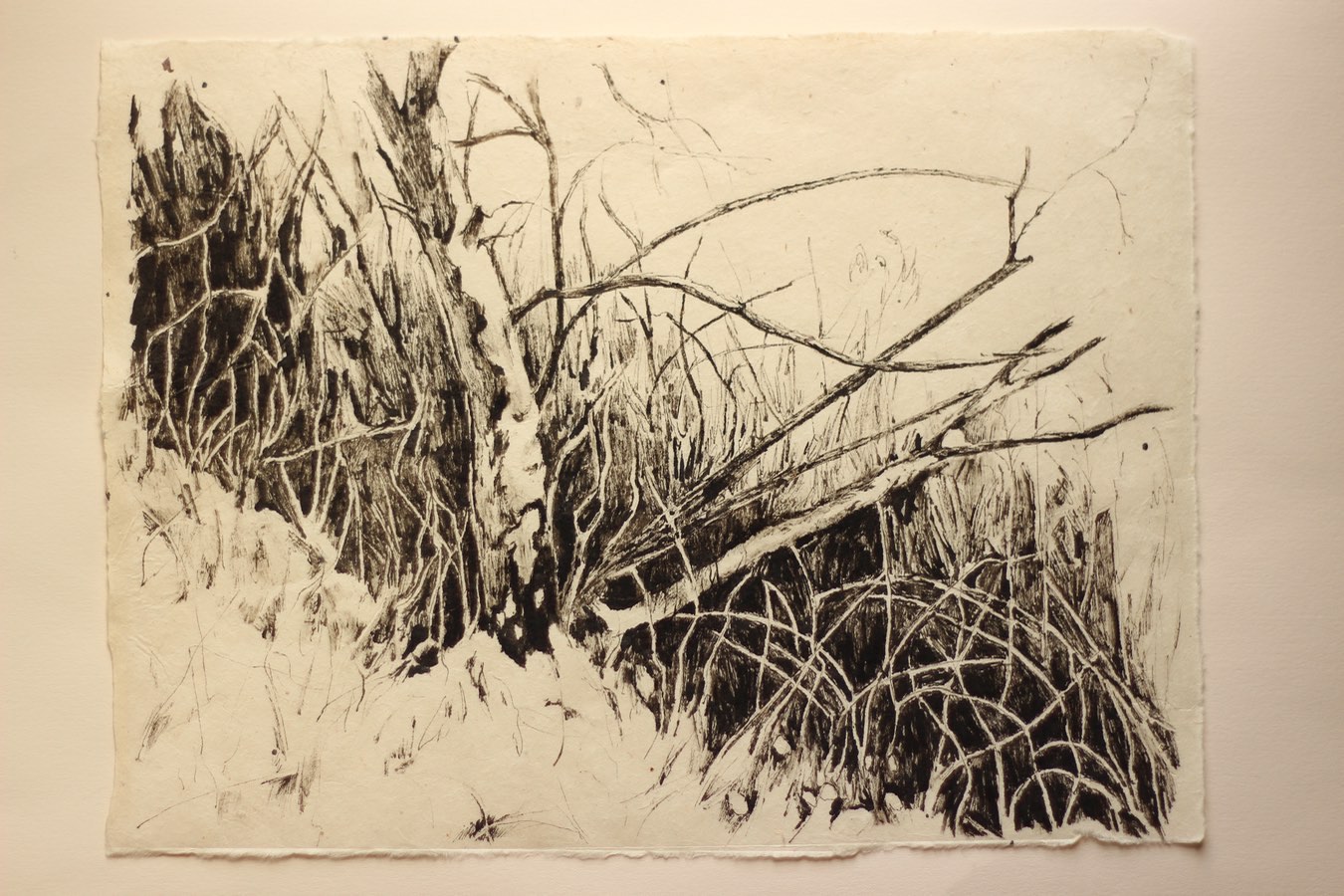 ‘Tree Up the Hill: January (Snow)’, Indian ink on Lokta paper, 36x28cm, 2021  