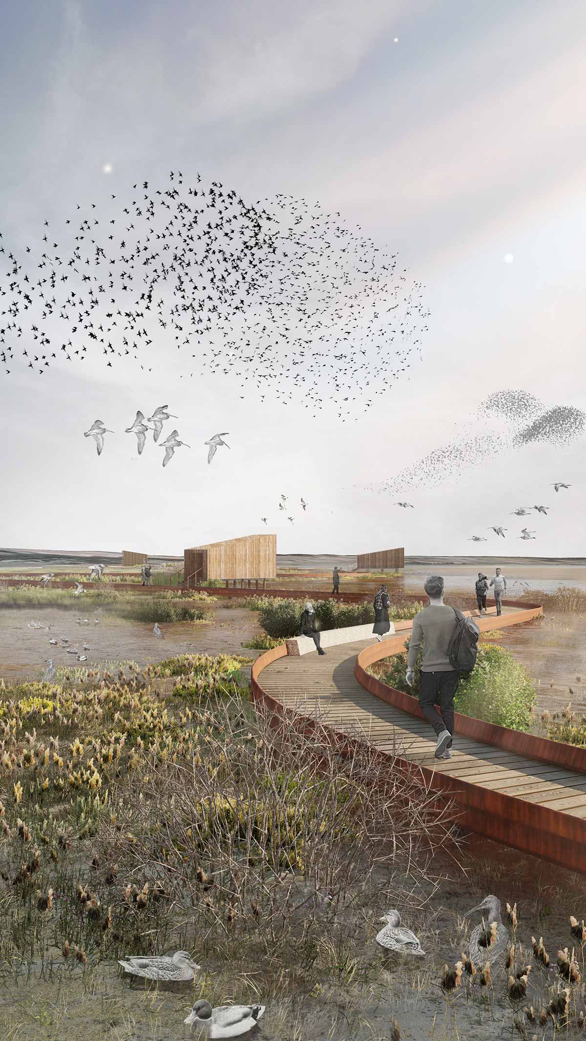 Saltmarsh & Mudflat Regeneration