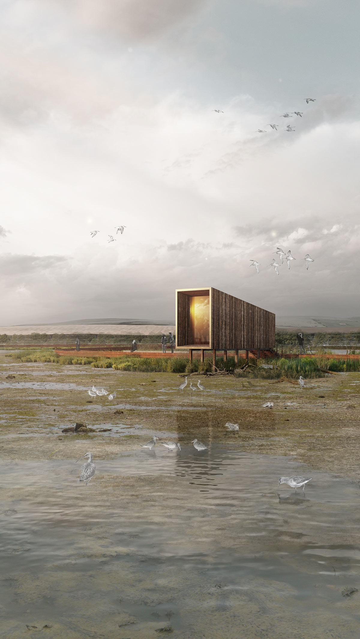Saltmarsh & Mudflat Regeneration
