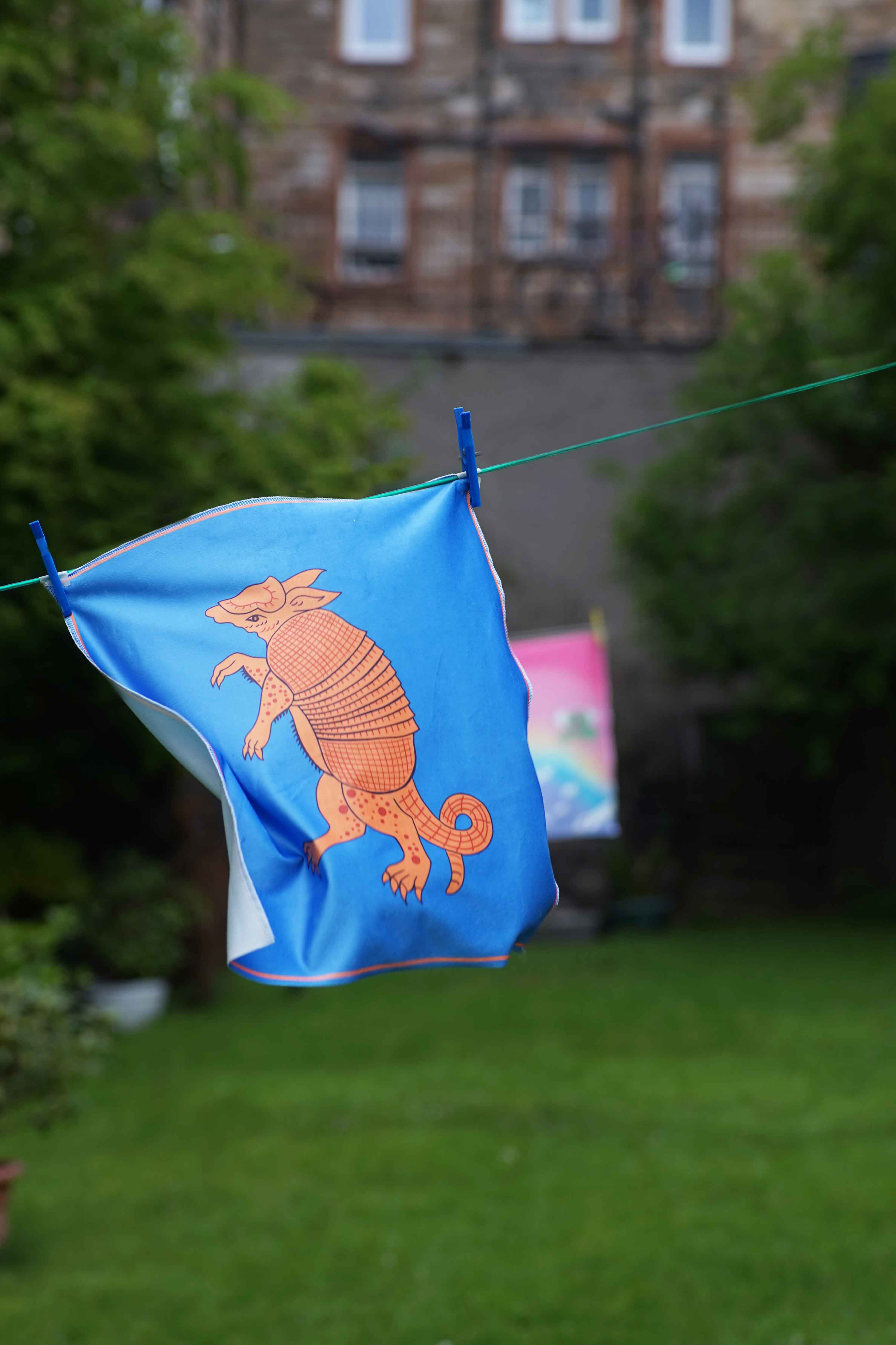 Blue flat with an Armadillo