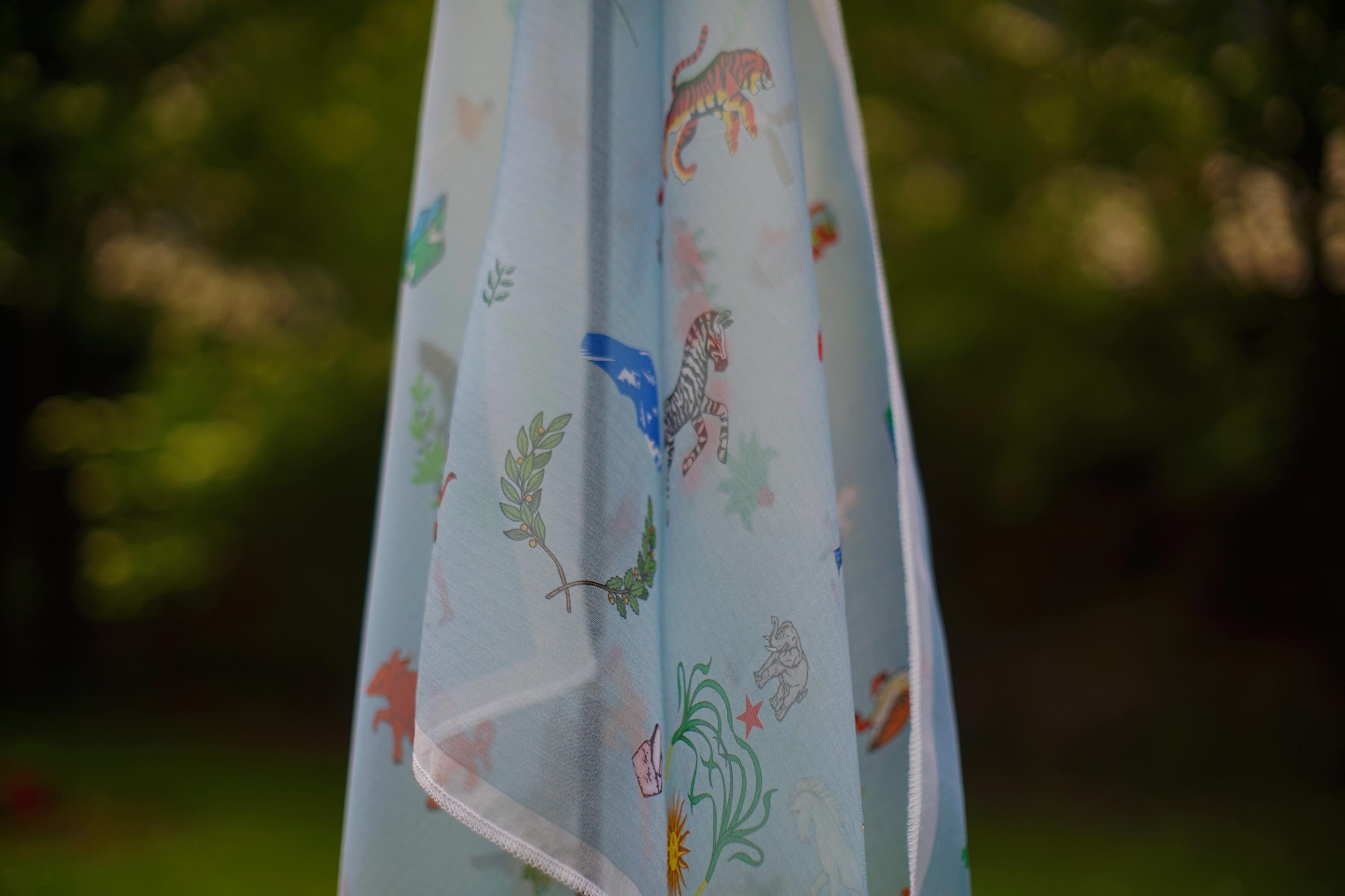 Speculative flag detail