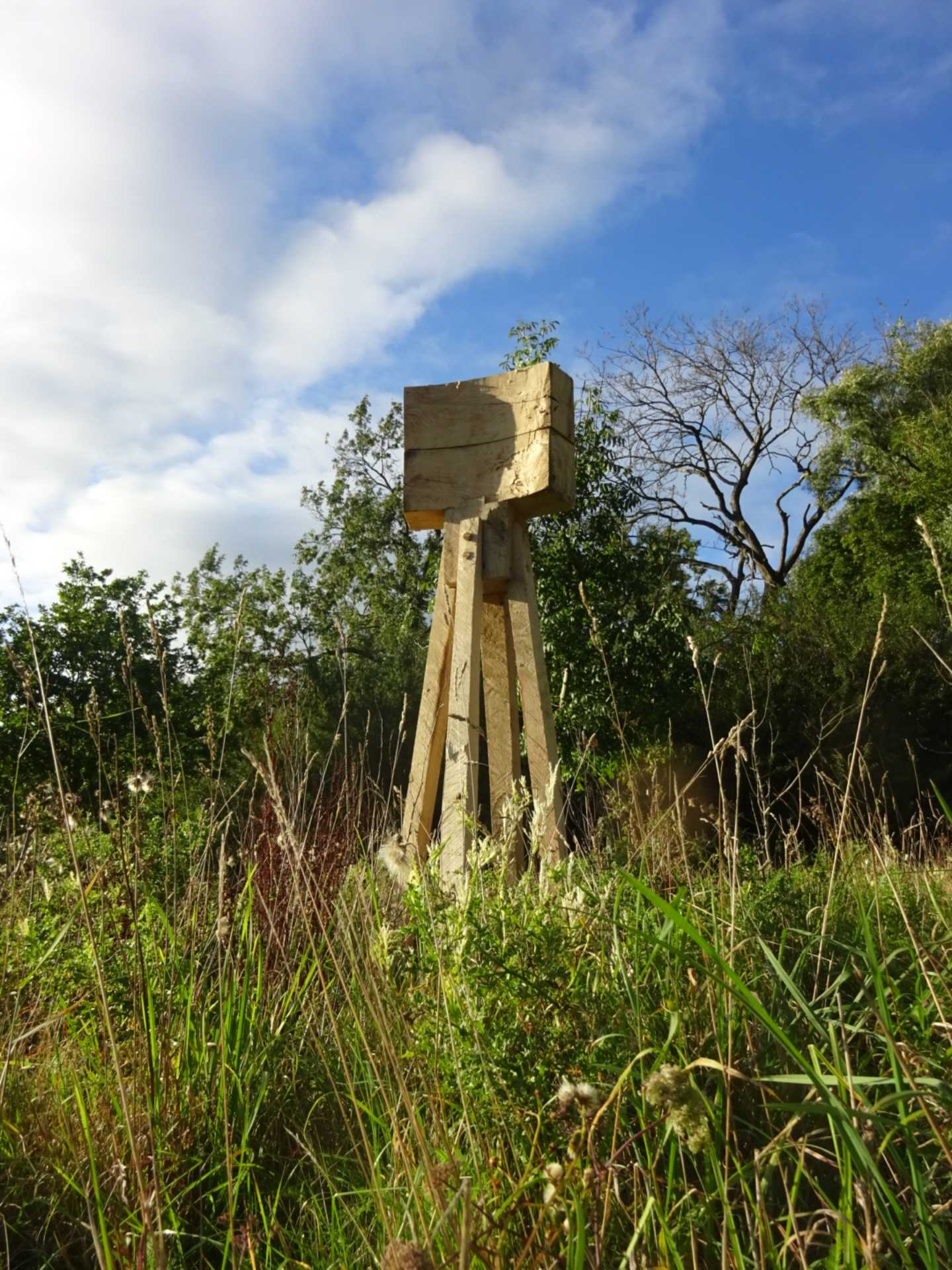 A large concave wooden square atop 4 legs stood in a tree lined field.