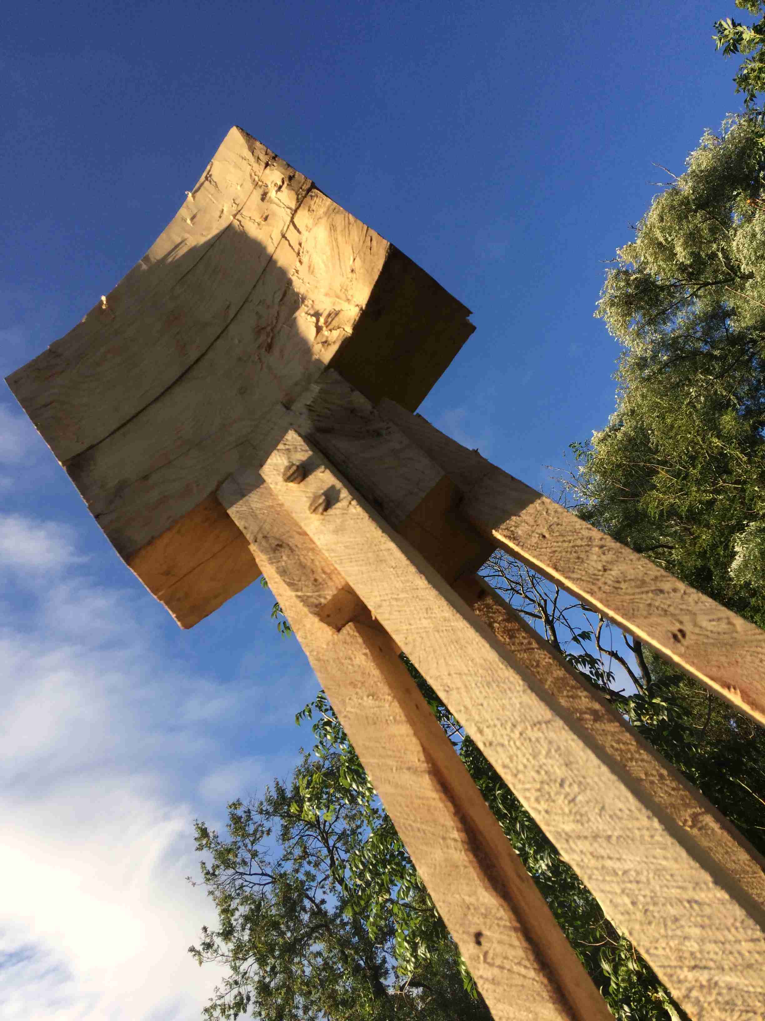 A large concave wooden square atop 4 legs stood in a tree lined feild.