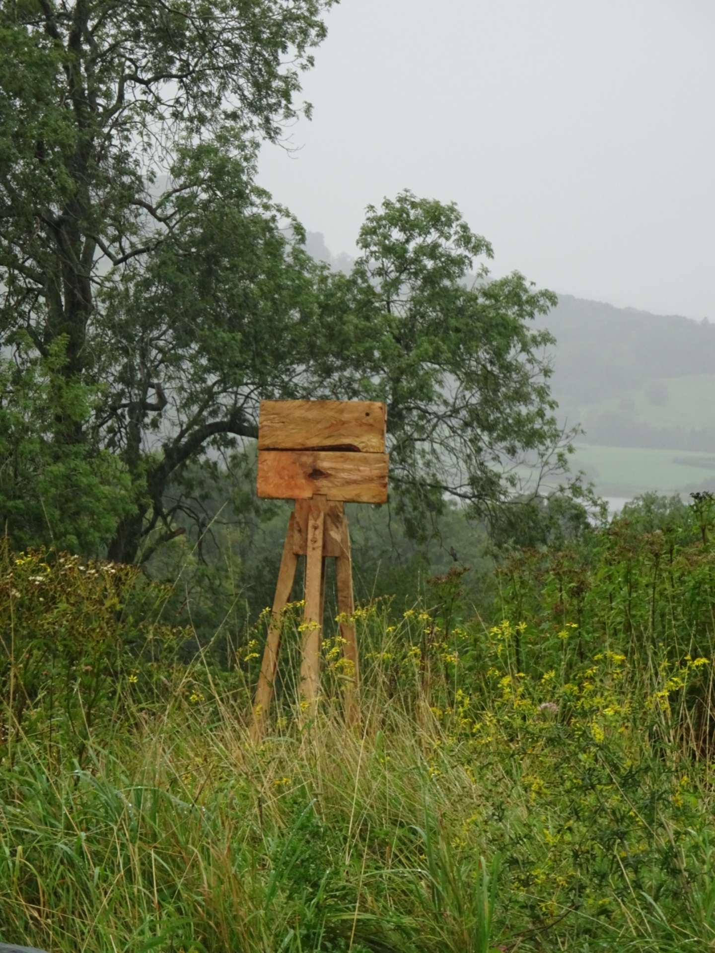 A large concave wooden square atop 4 legs stood in a tree lined feild.