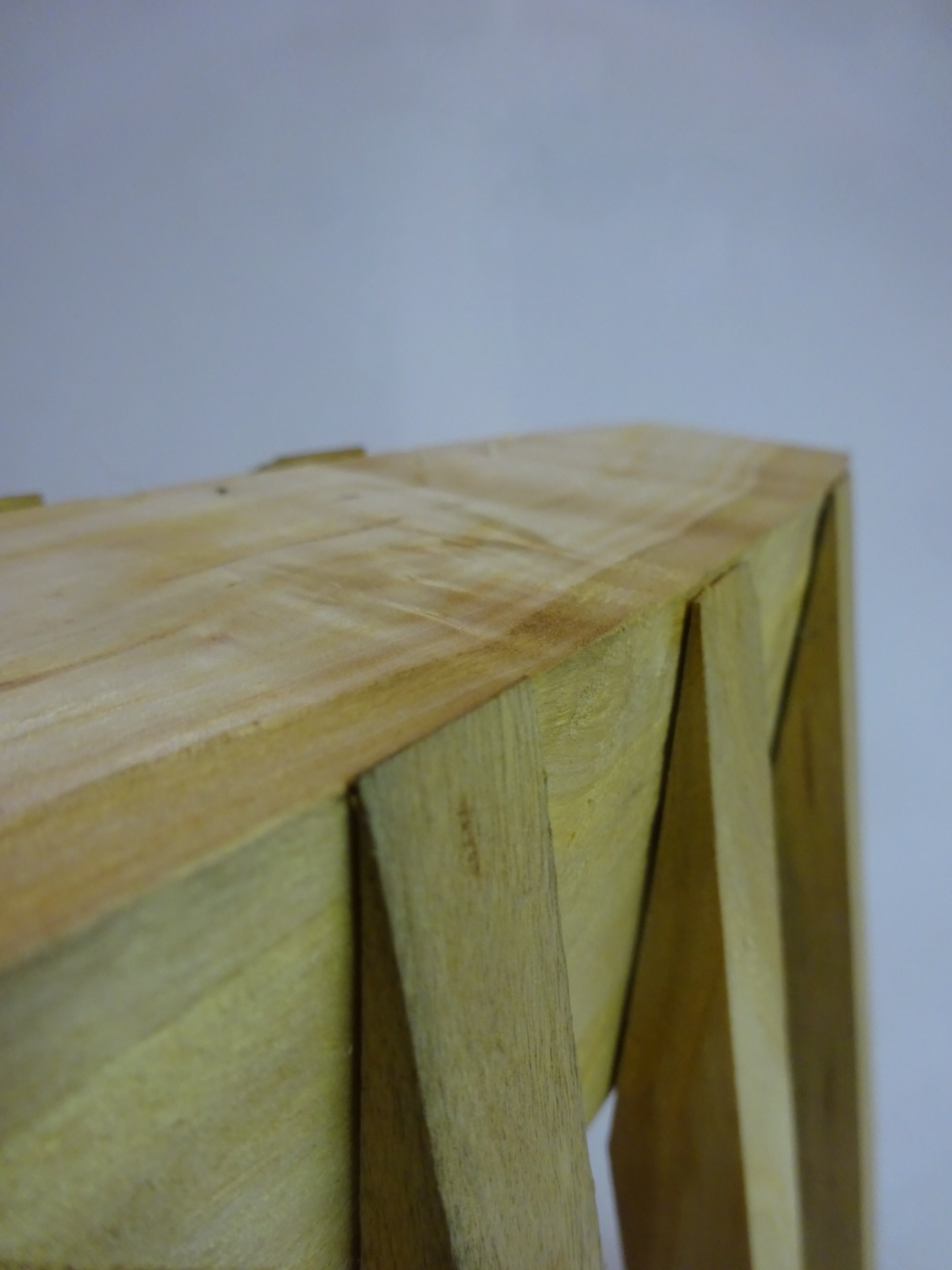 close up view of the legs joining the body. 