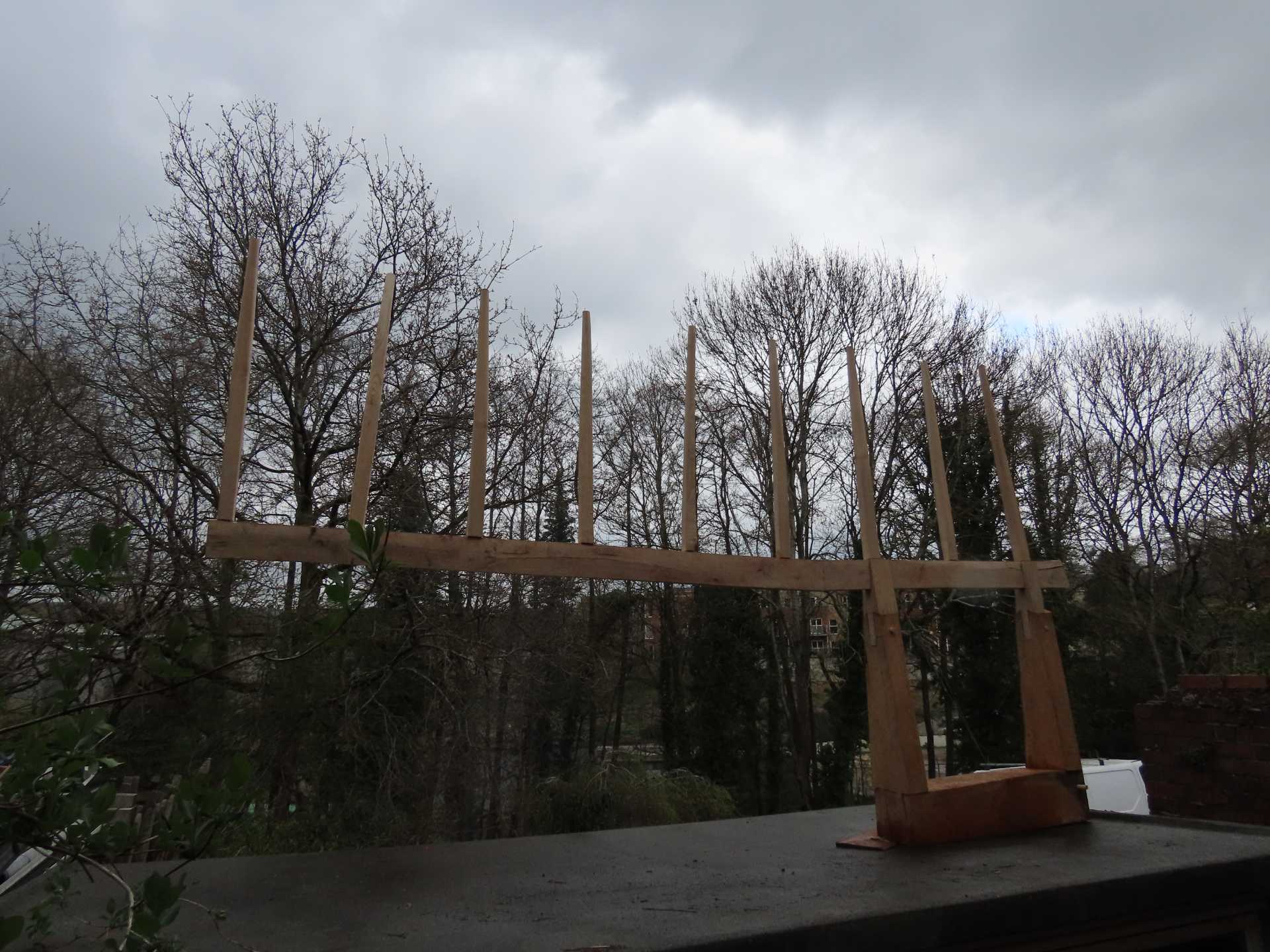 A heavily tined lop-sided sculpture mirroring the form of a row of Alders in the background.