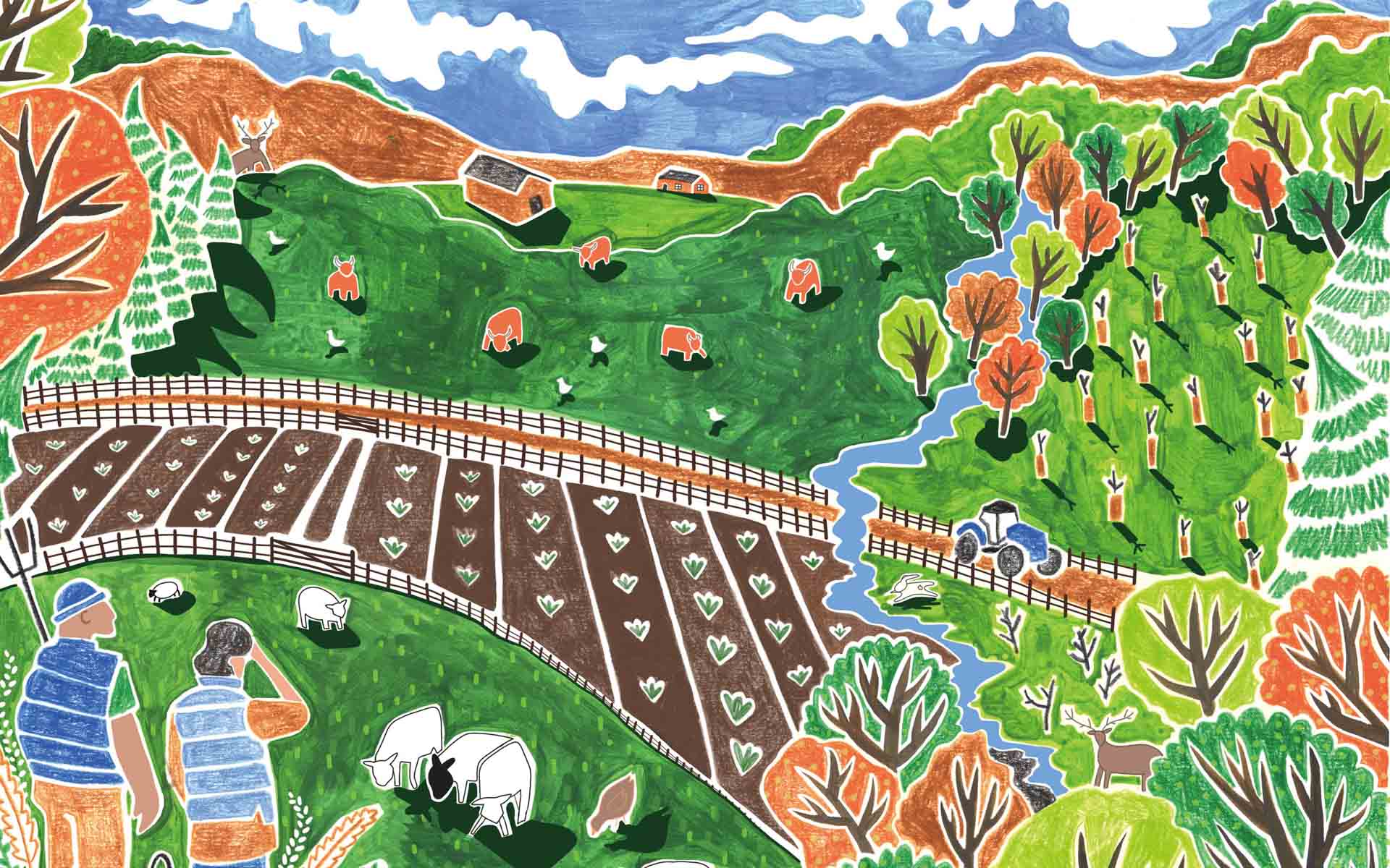 Illustration featuring a Scottish farming landscape with two farmers looking out over the sheep and cattle.