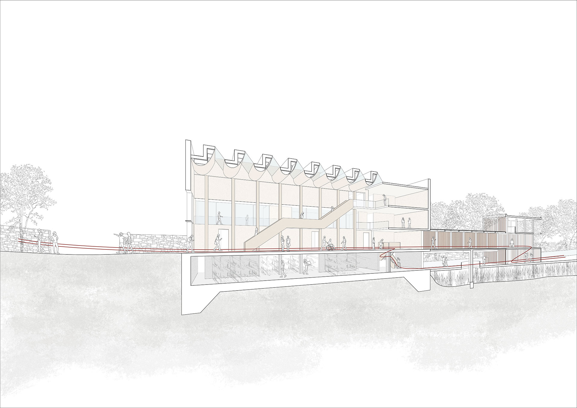 rendered section drawing