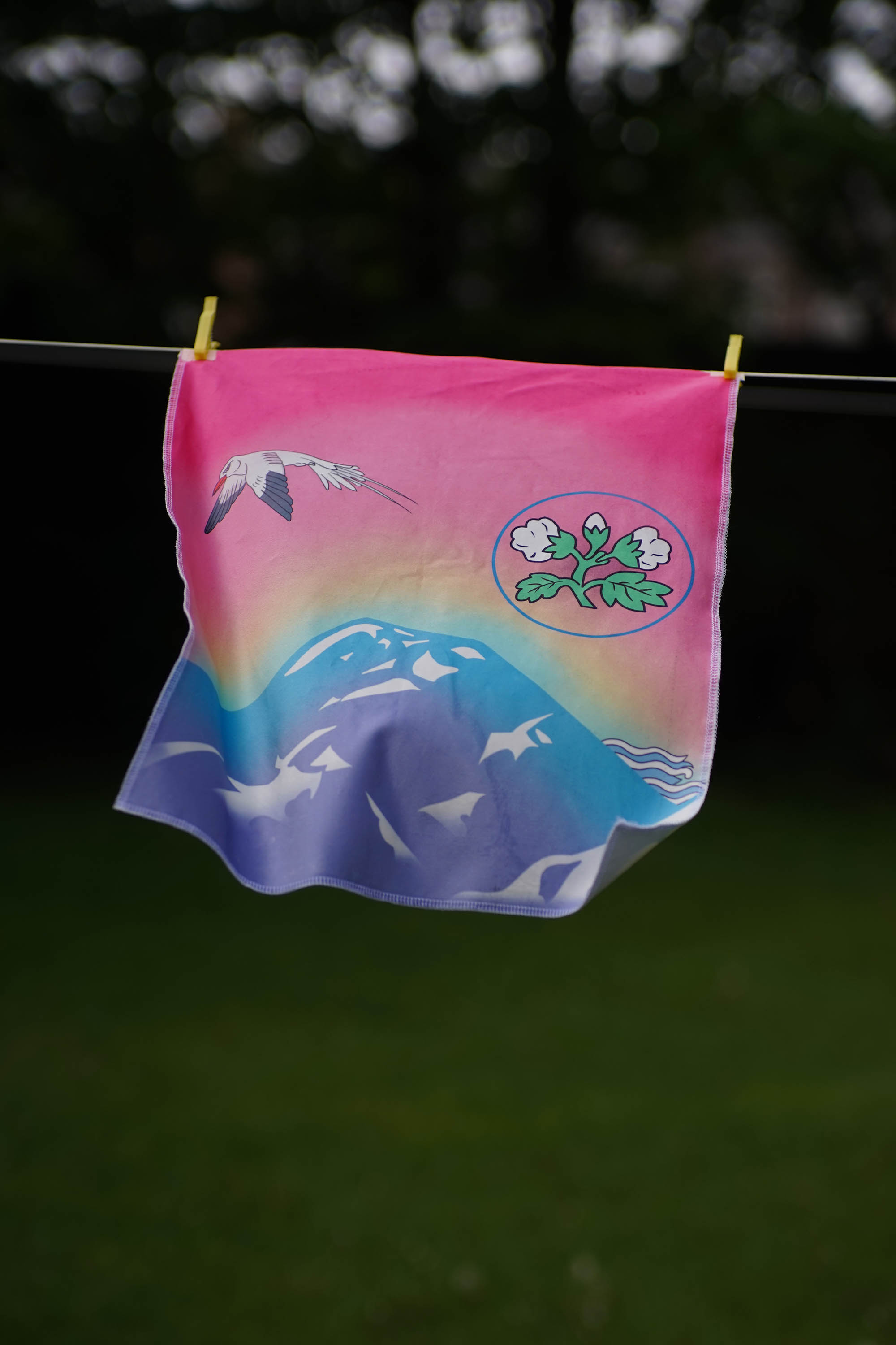 Flag with a bird, cotton plant and mountain