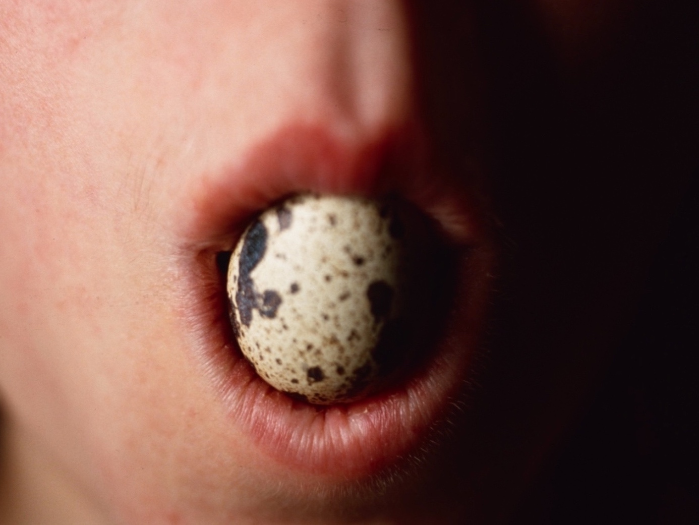 A photograph of an egg held in a mouth 