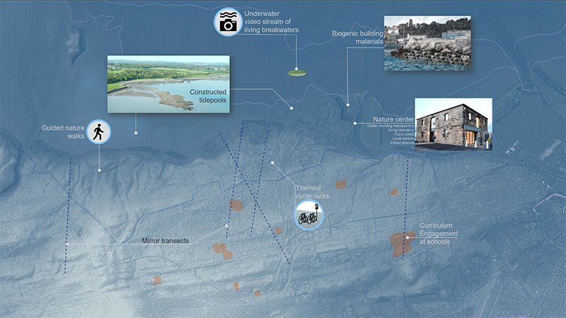 Plan view of proposed strategy and connections with urban planning