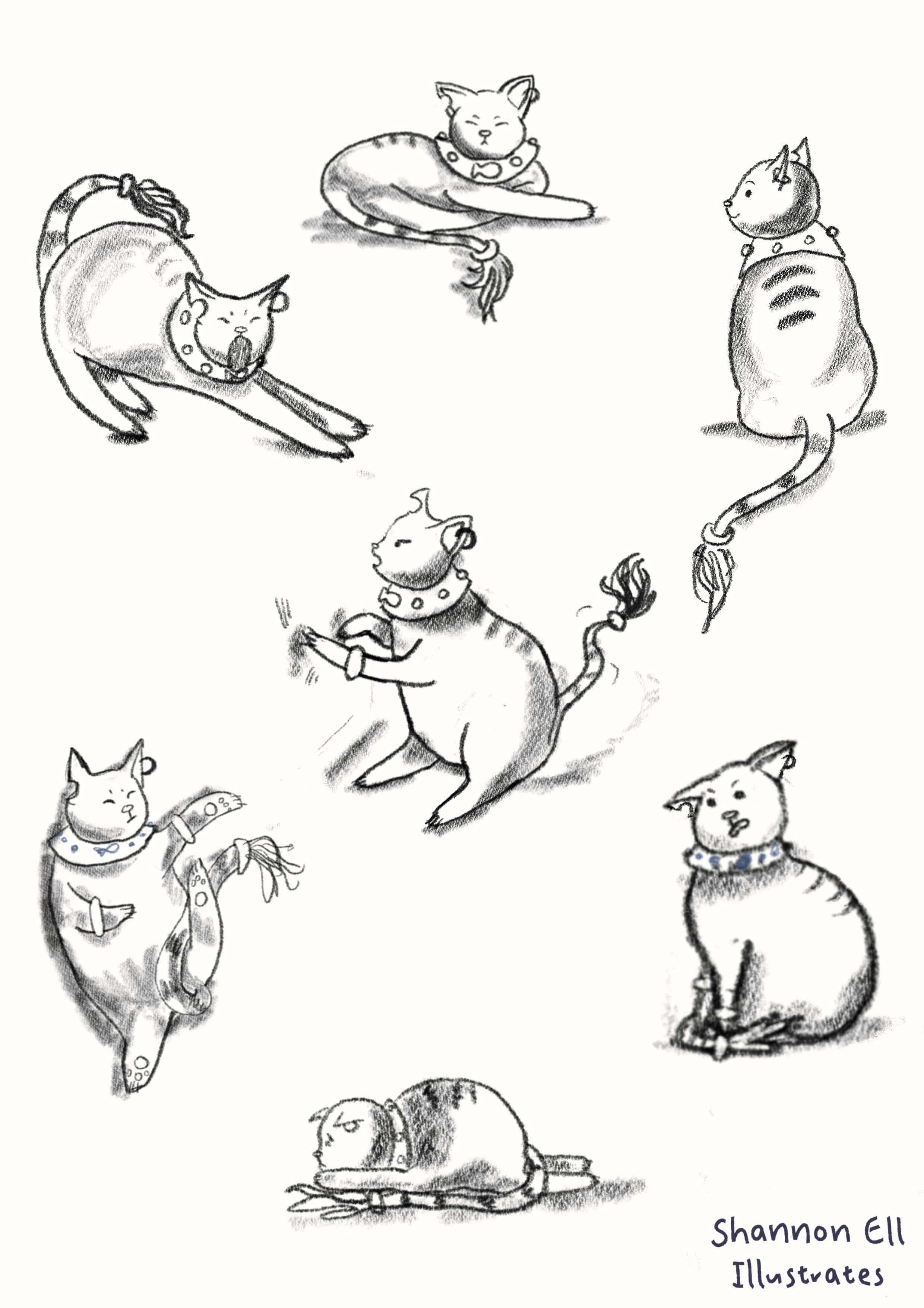 Sketchbook pages cat poses
