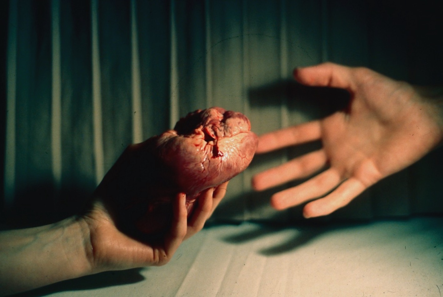 two hands pass a pigs heart