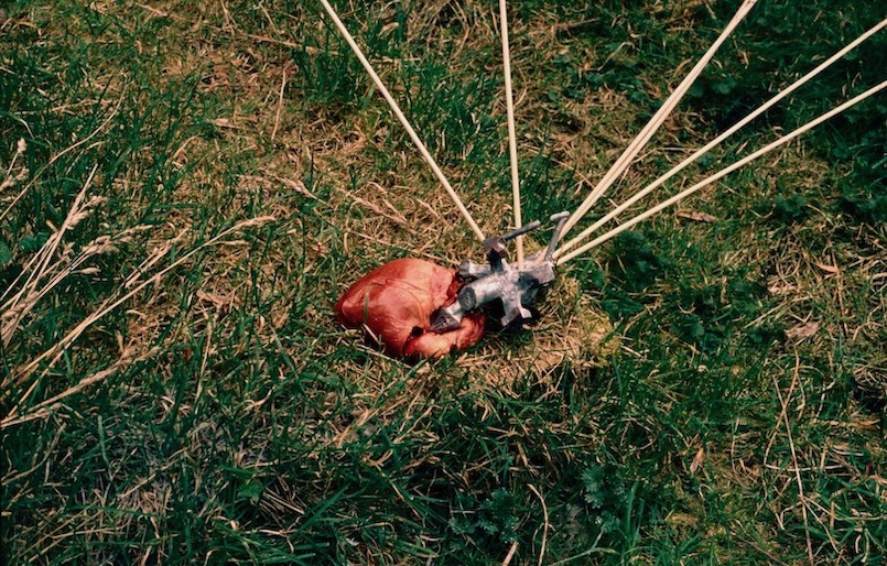 a pigs heart punctured by a cluster of bronze arrowheads, 35mm colour slide