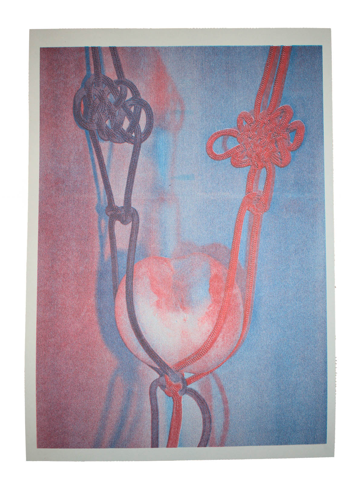 A bitten peach hanging from one blue rope and one red rope, one with a Celtic knot and one with a Pan Chang knot. Risograph print using Med Blue and Red ink.