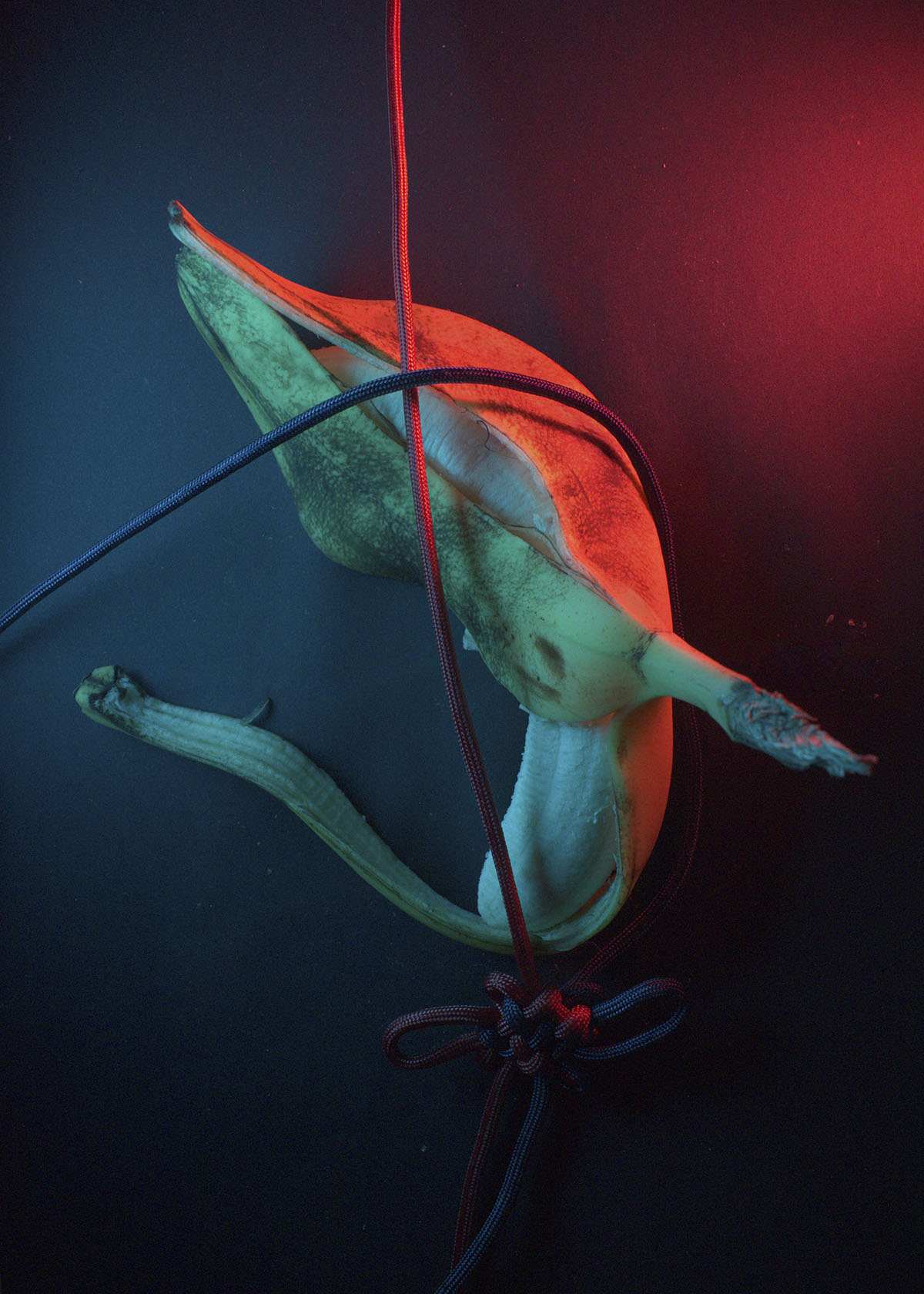 A peeled banana with the peel laying over the banana and encasing it on both sides, with one red and one blue rope crossing it, all on top of a black background and lit with red and blue light.