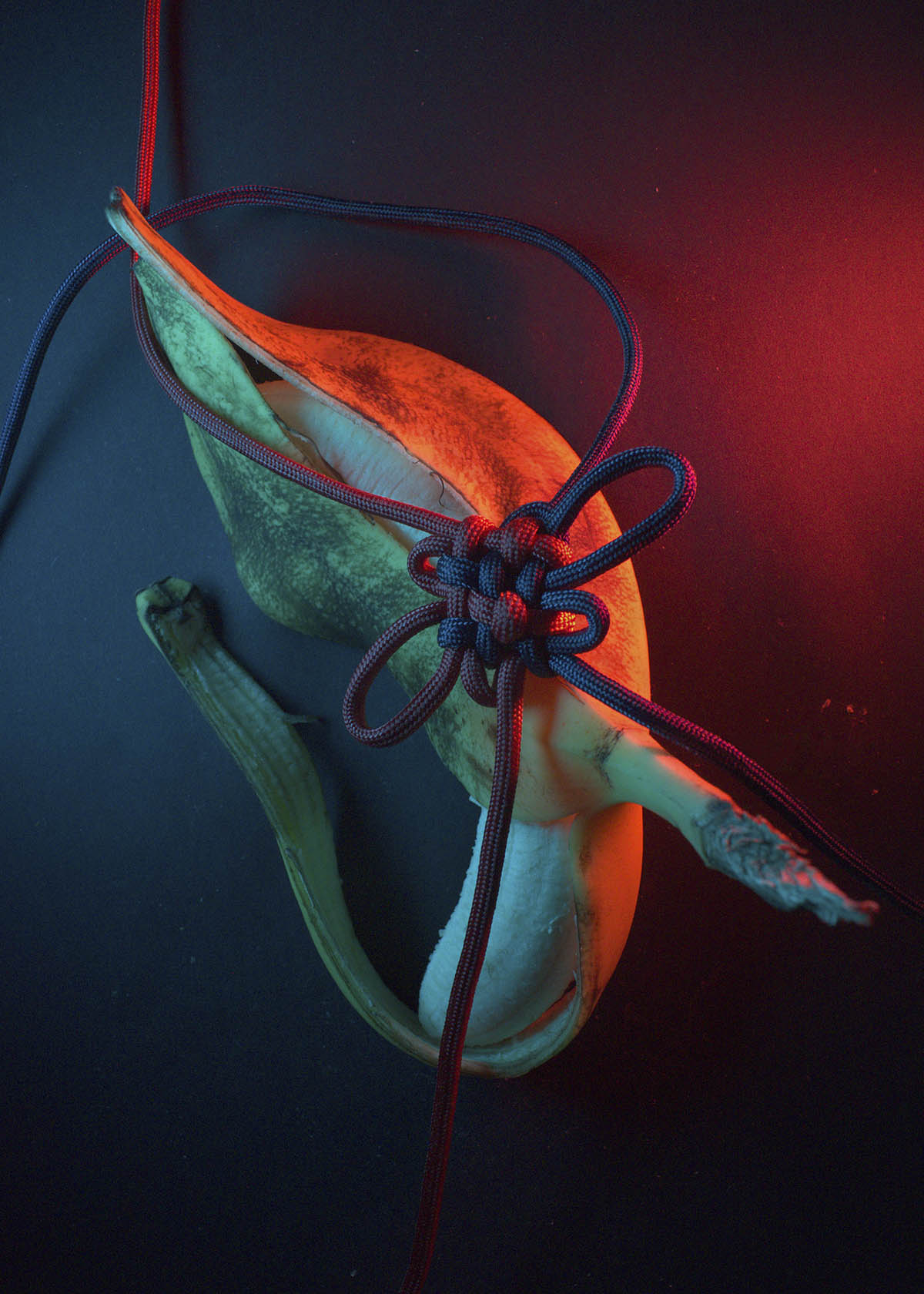 A peeled banana with the peel laying over the banana and encasing it on both sides, with a red and blue rope knotted together and placed on top of the banana. This is over a black background and is lit with red and blue light.