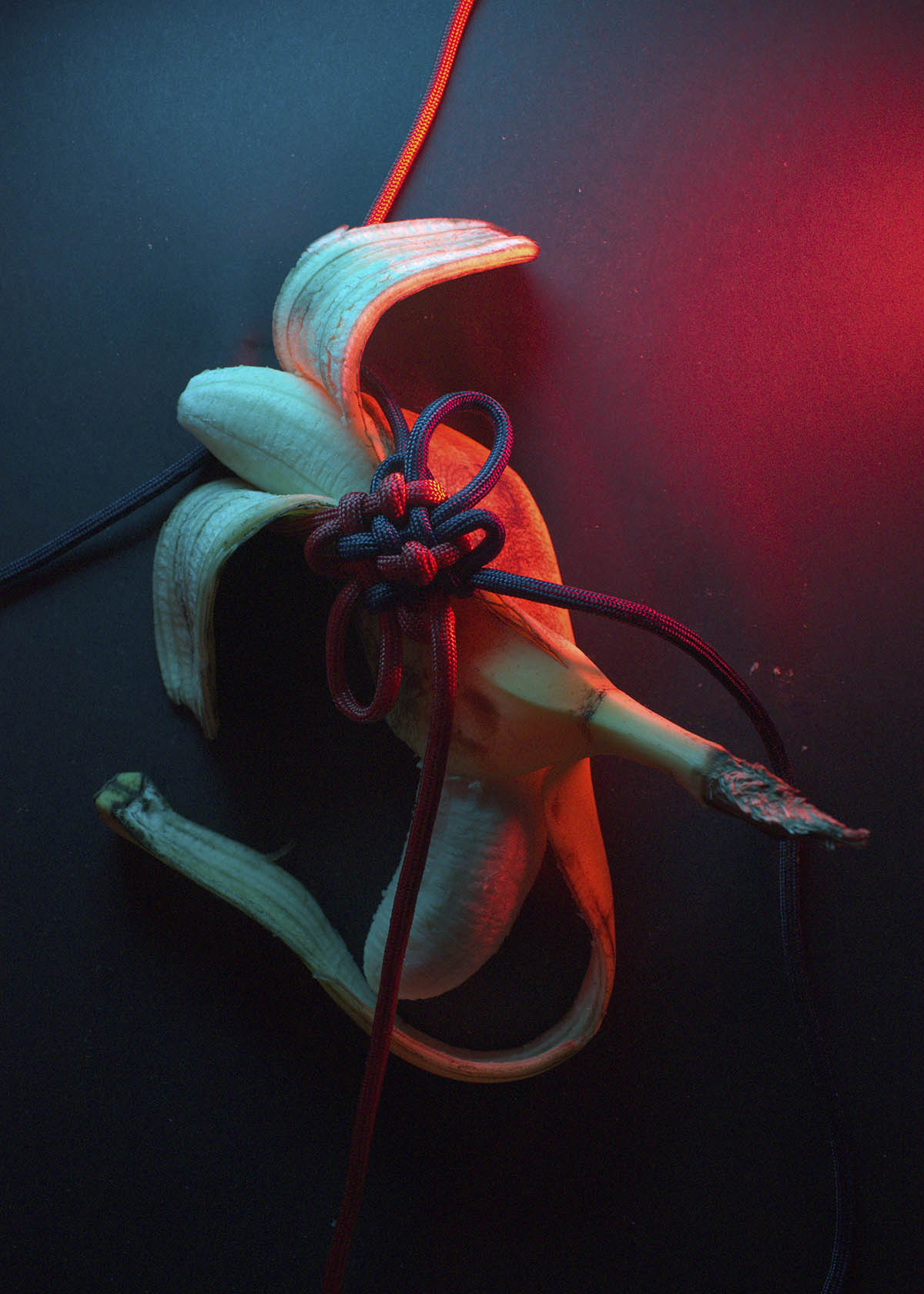 A peeled banana with the peel laying over the banana and encasing it on both sides. A blue rope and a red rope tied together with a decorative knot holds the banana skin to the flesh on top of a black background.
