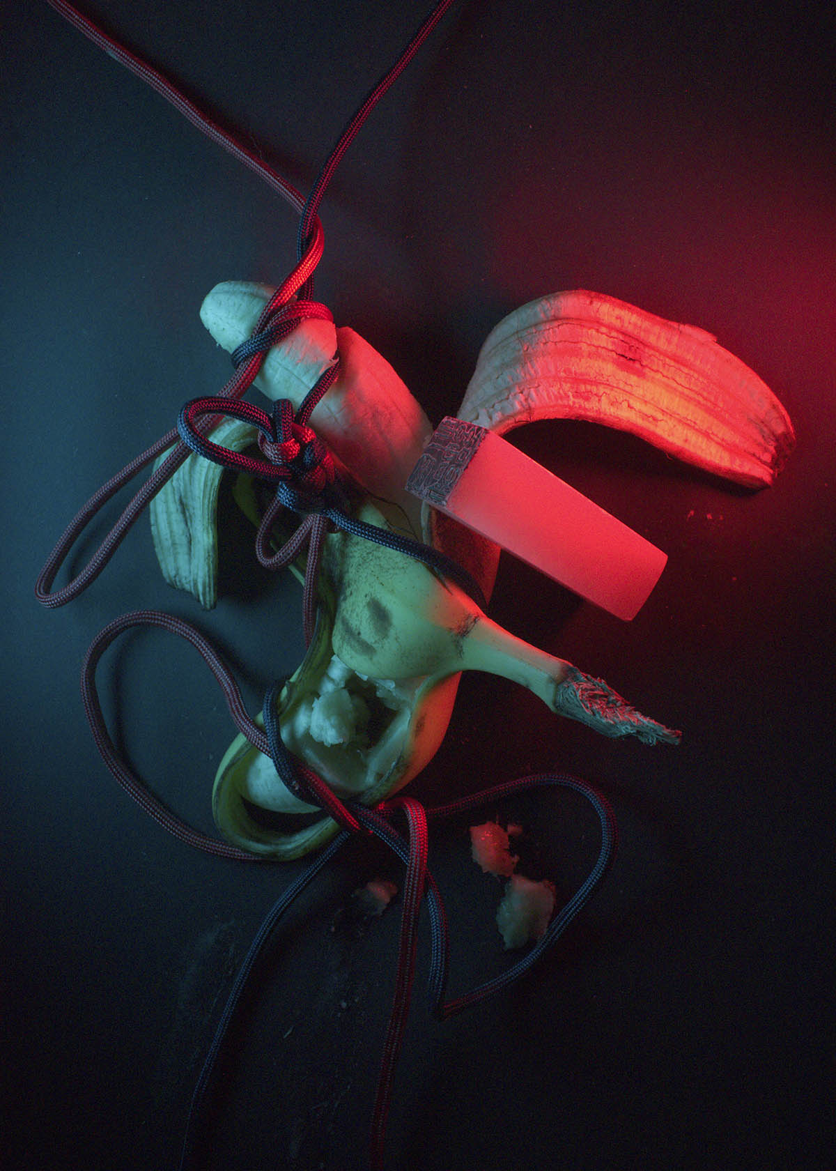 A peeled banana with the peel laying over the banana and encasing it, with red and blue rope tying the banana skin to the flesh, other knots digging into the flesh and a decorative knot pulled to the side to expose the banana's flesh. At one tip of the banana it has been deeply stamped into and at the other end rests a stone stamp. This is on top of a black background and lit with red and blue light.