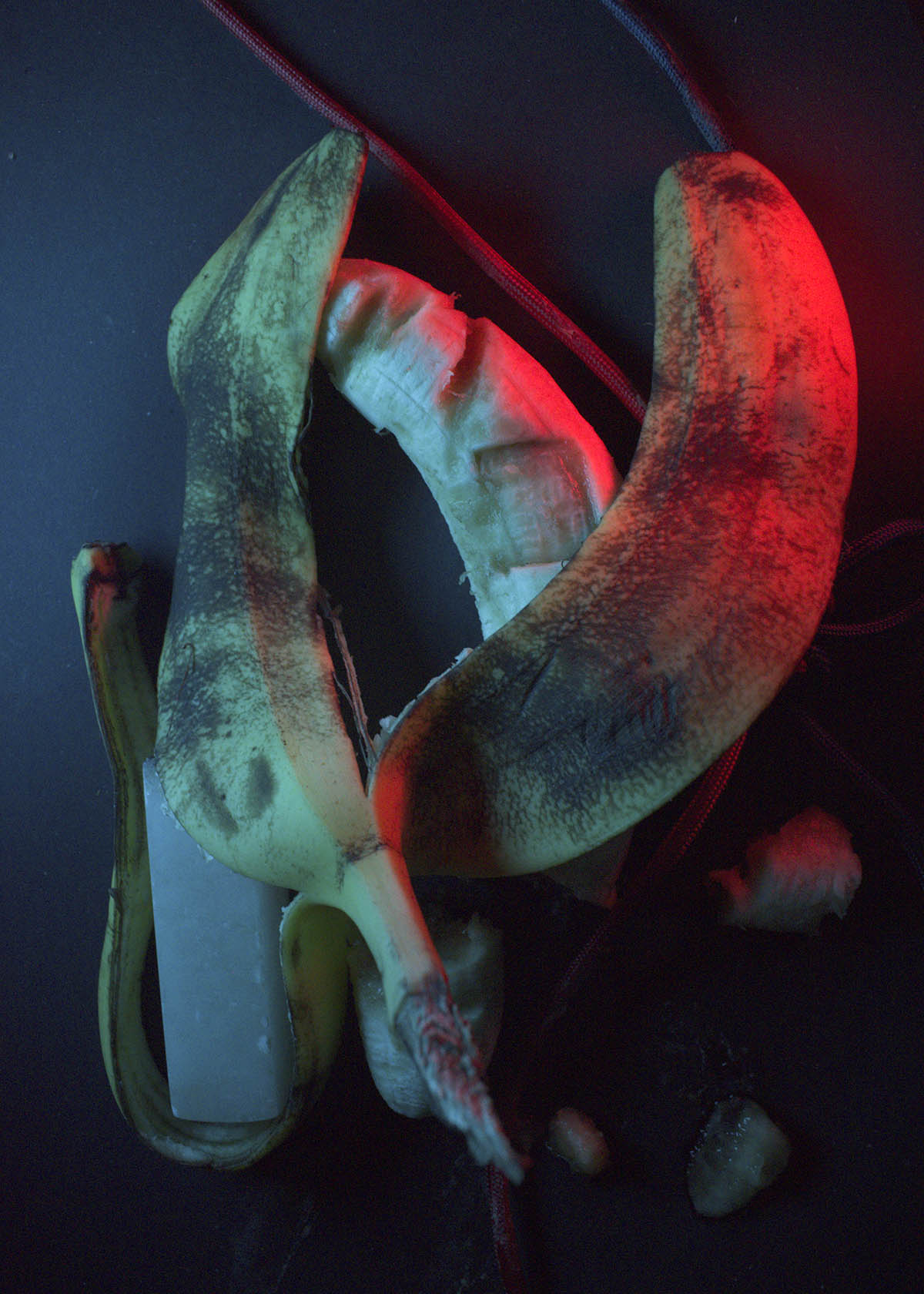 A banana peel laying over the flesh of a banana that has been damaged by tied rope and stamped. Part of the peel curls around a stone stamp. This is on top of a black background and lit by red and blue light.