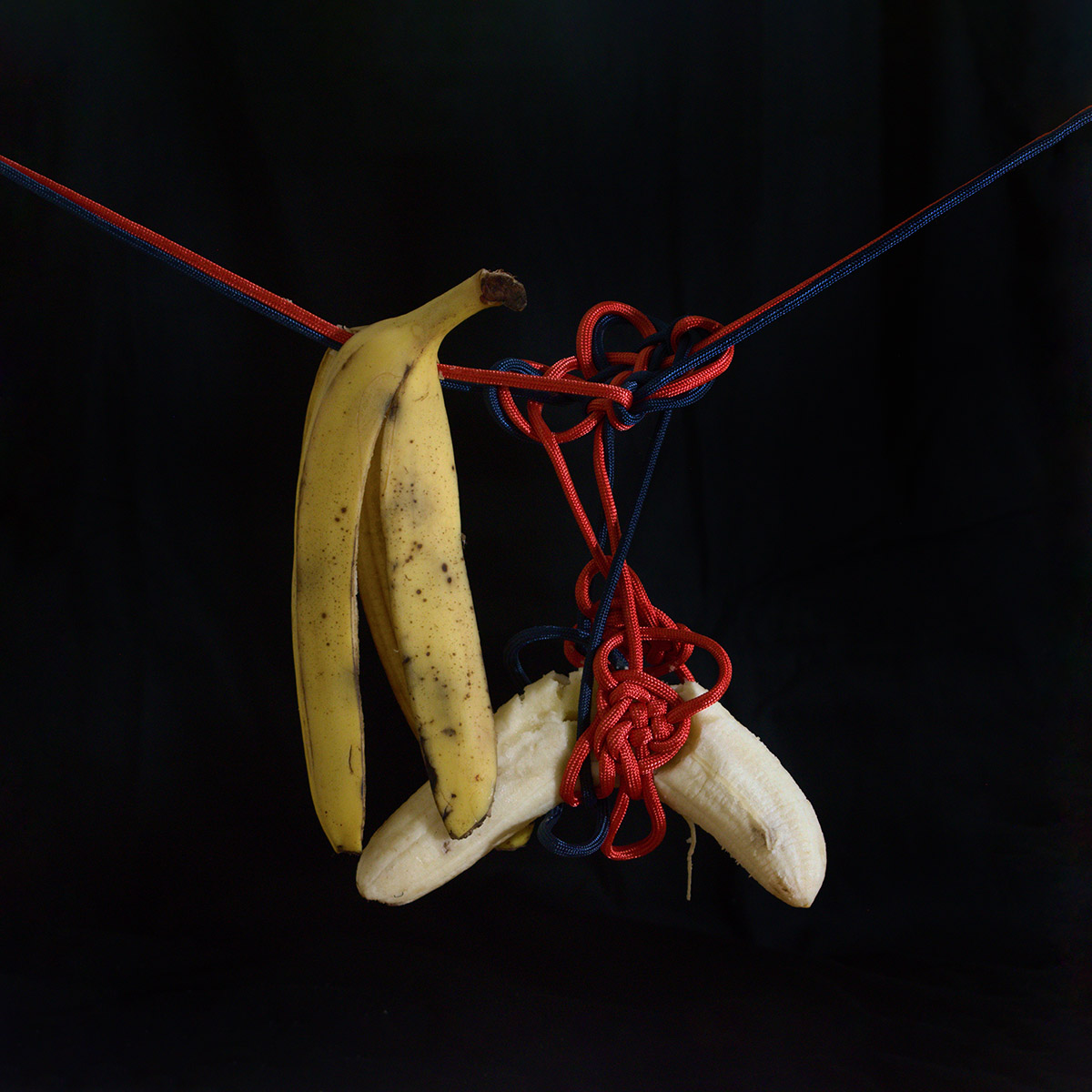 A banana skin and banana flesh separated from each other. Both suspended from knotted red and blue rope in front of a black background.