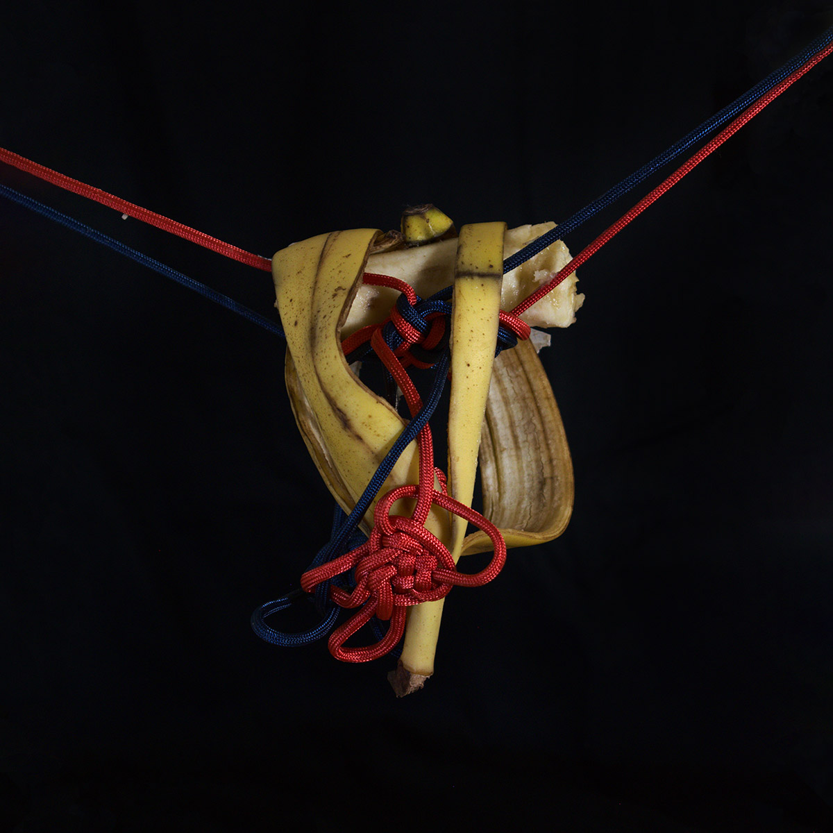 A banana skin separated from banana flesh and dangling from one broken half of the banana flesh, with the banana flesh being suspended from knotted red and blue rope, in front of a black background.