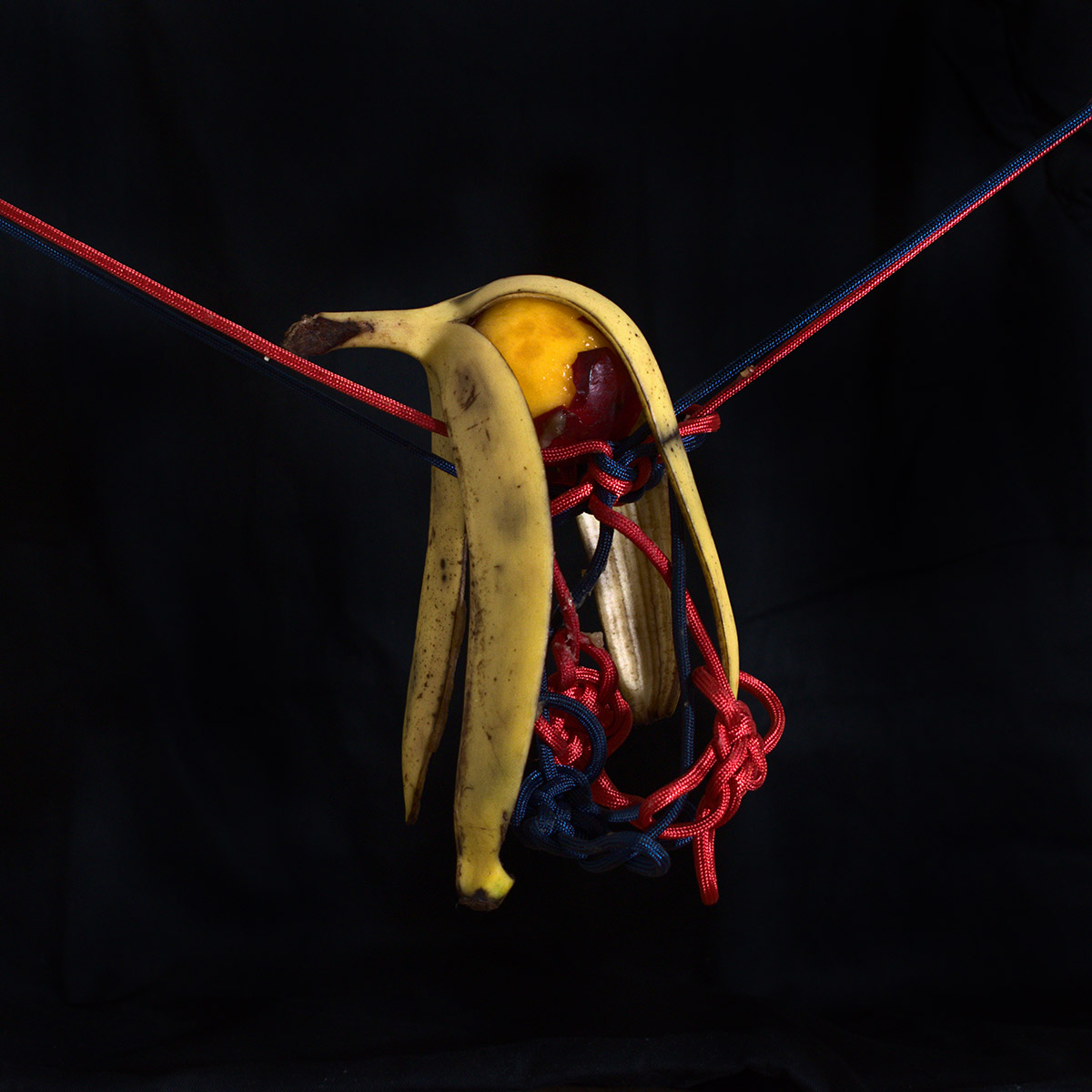 A partially peeled nectarine with a banana skin hanging over it, suspended by blue and red knotted rope in front of a black background.