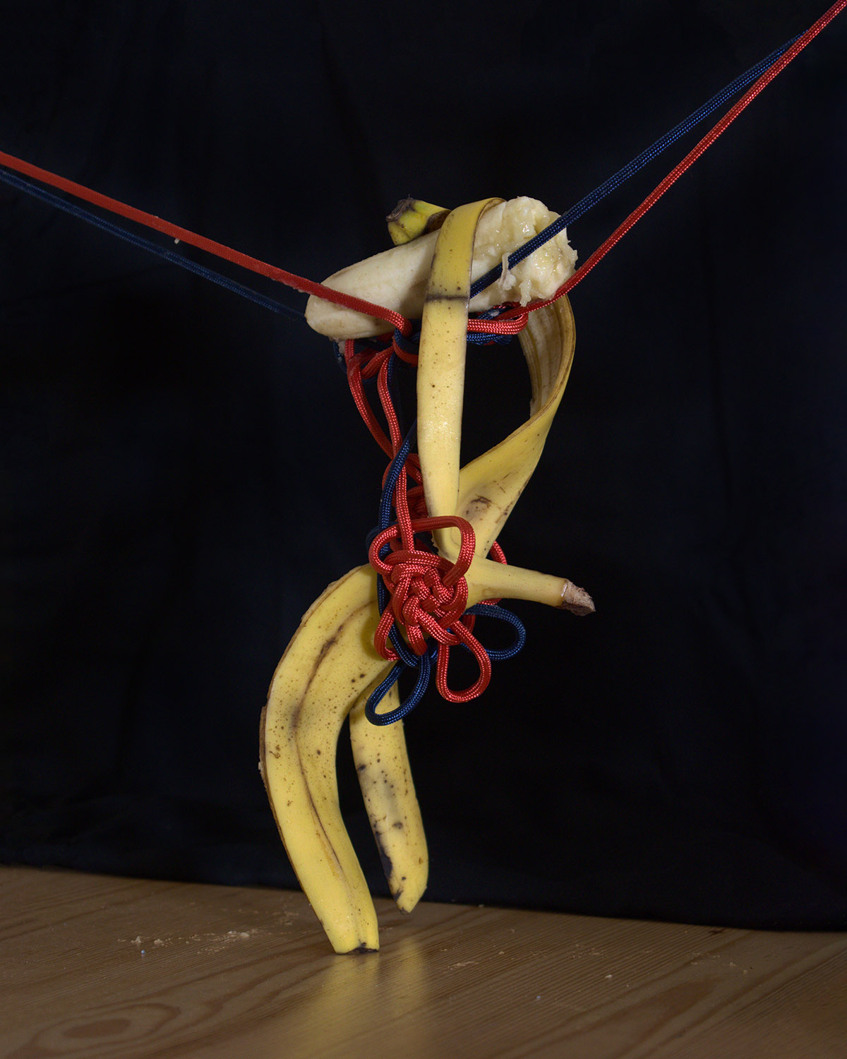 An anthropomorphic banana skin separated from banana flesh and hanging from one broken half of the banana flesh with legs touching a table. The banana flesh is suspended from knotted red and blue rope, in front of a black background.
