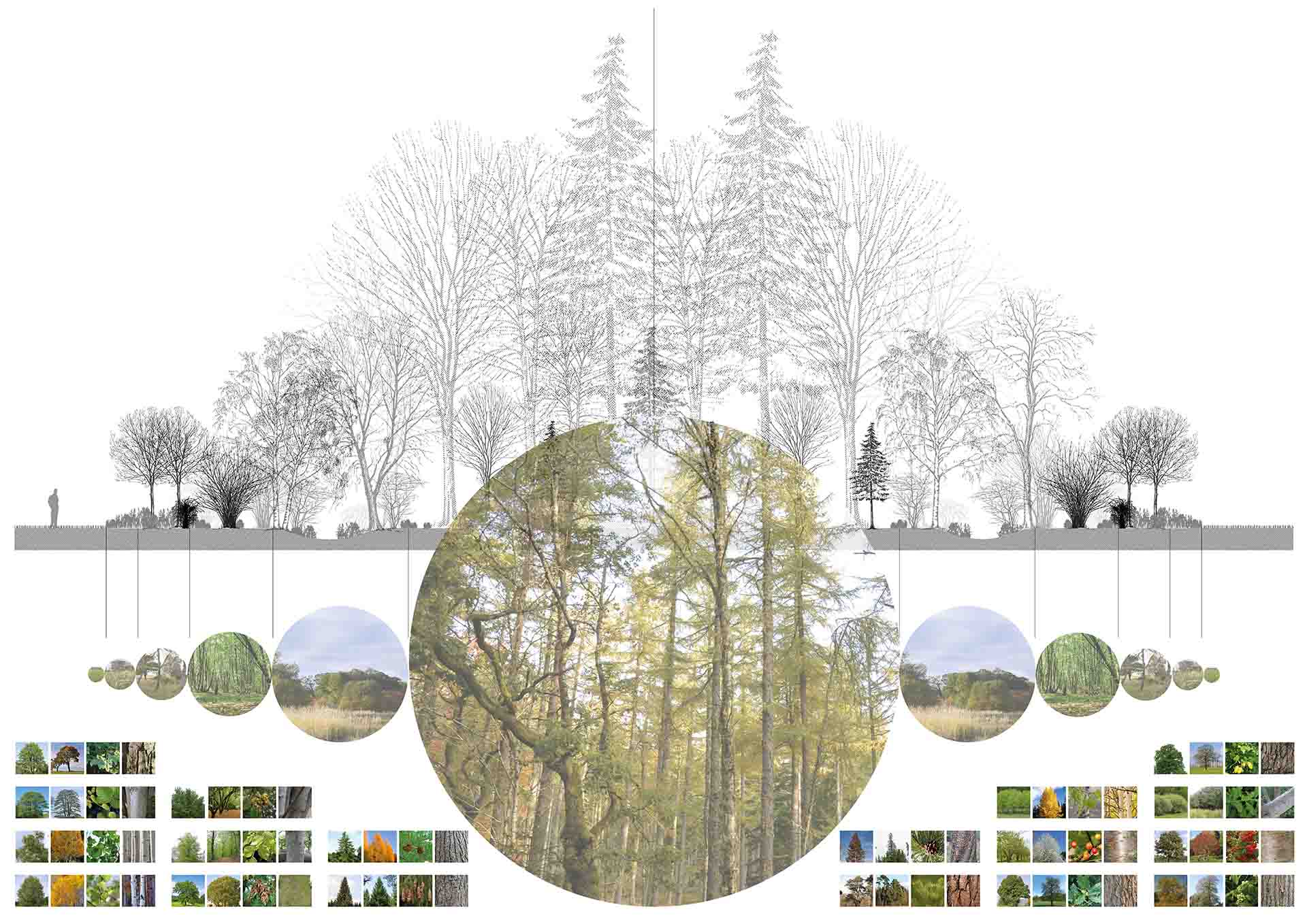 Ecological ressources - Gardening the Ecotone - 