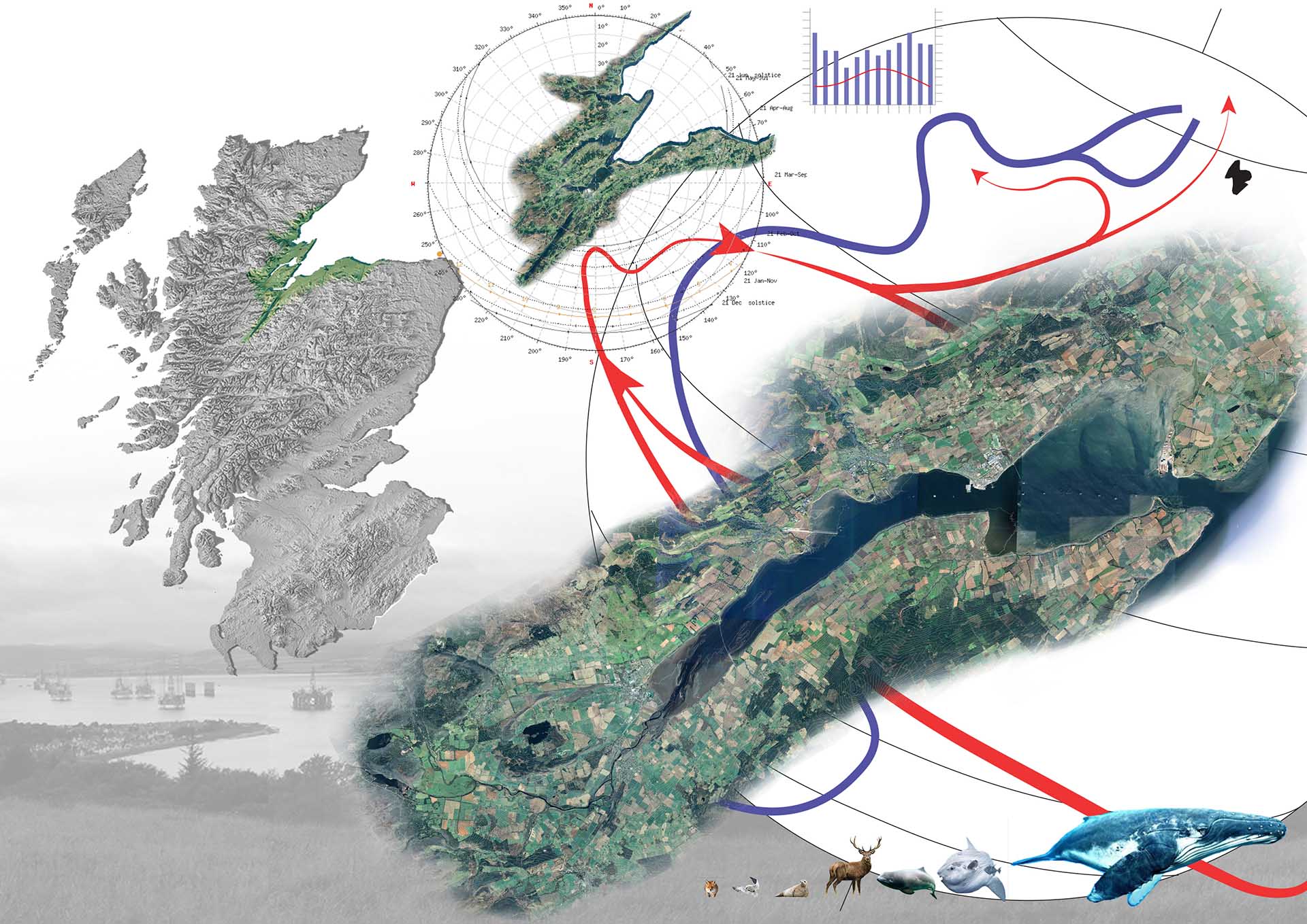 From Global to the territorial - The Cromarty Firth Garden - 
