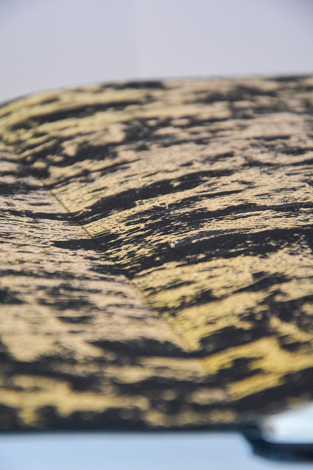 Close up of the endpaper inside the book, gold foil on black pages in an organic 
