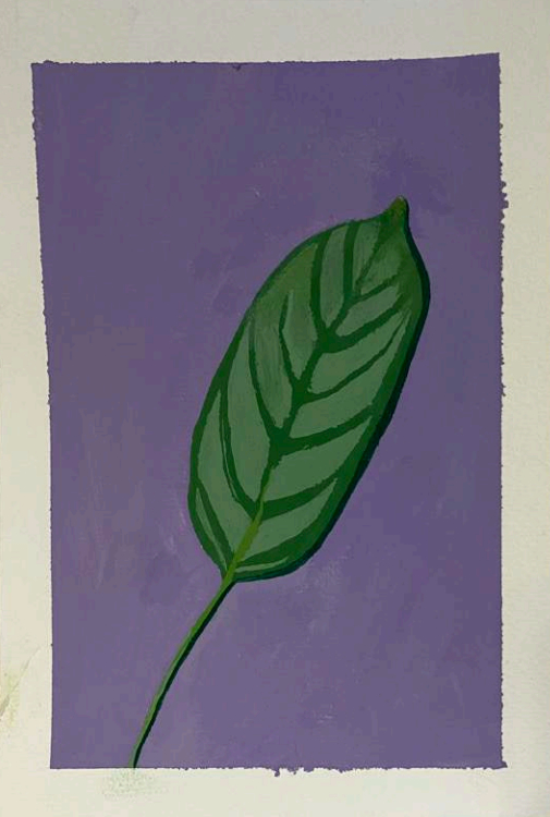 A gouache painting of calathea leaf on a purple background with a white border