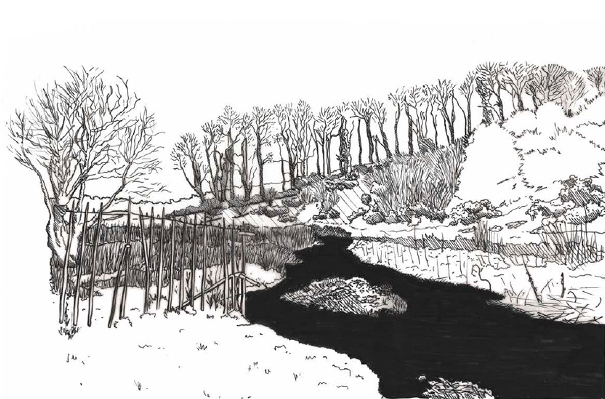 01a_Stamm_Antonio2021_May_MA Landscape