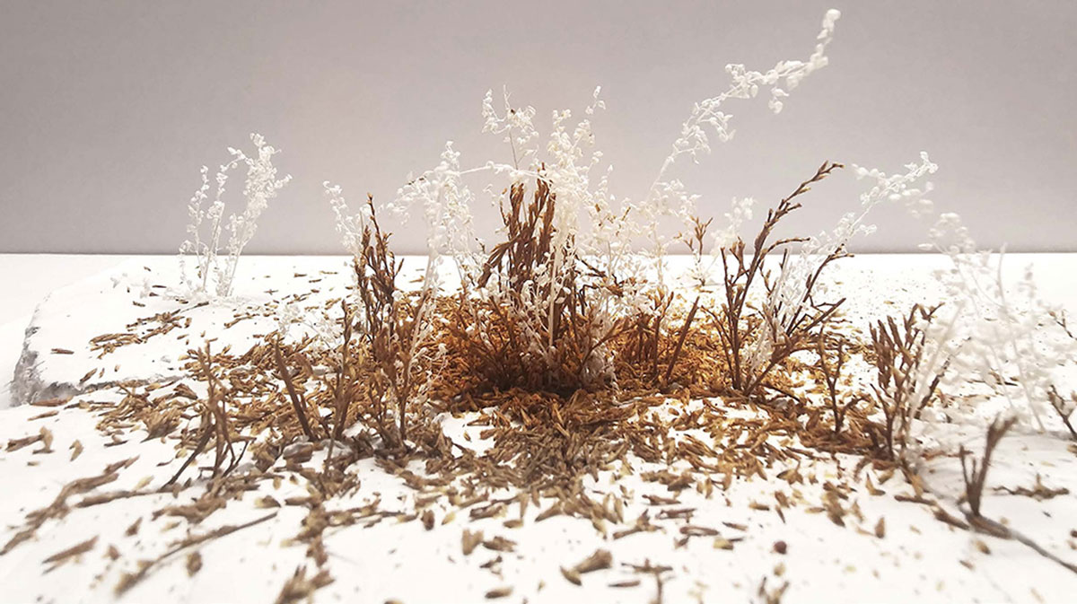 01a_Yung_Alex Tsz Yin_The Glasgow Neurons_2021_May_MLA_Cromarty Firth