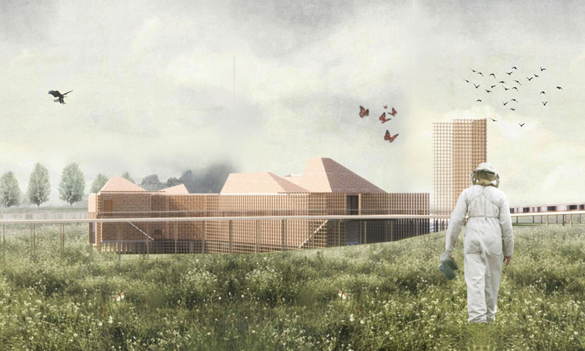 05_2021_May_Unit 2_Looking North_Salt and Honey