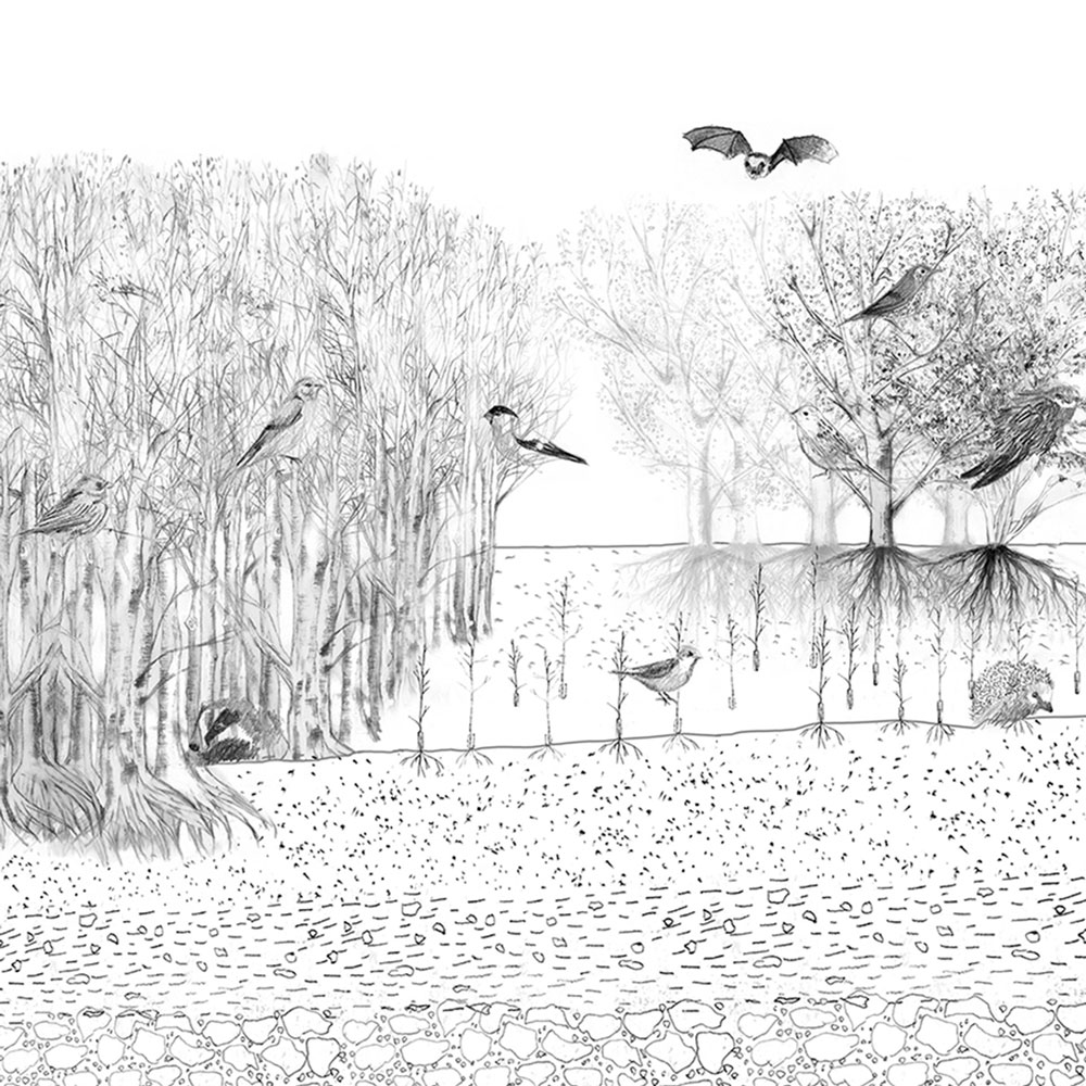 08a_2021_May_Unit 3_No Blank Slate_Architectures of Reuse