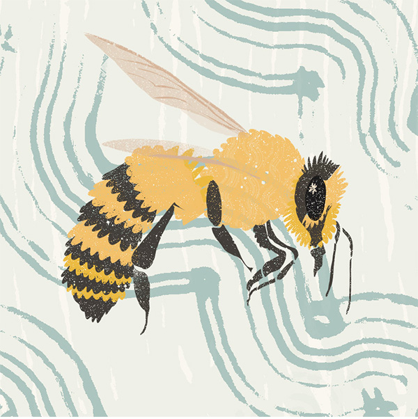 Digital spot illustration of a honey bee in flight using textured brushes. The background is swirly blue. 