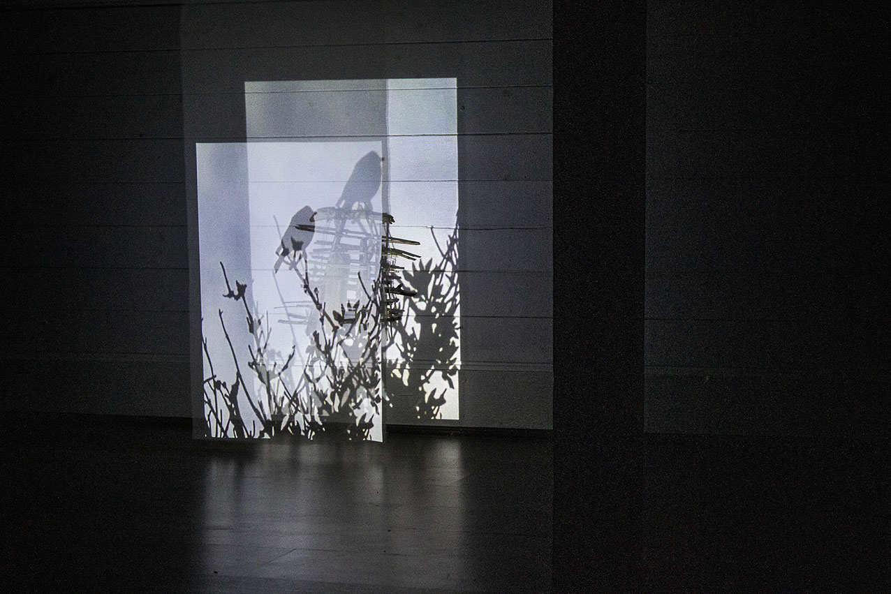 Birds, video installation with twigs and veil, 2021