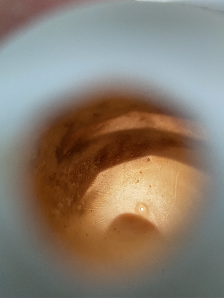 Borescope Photograph Taken Inside a Blown Rotten Goose Egg