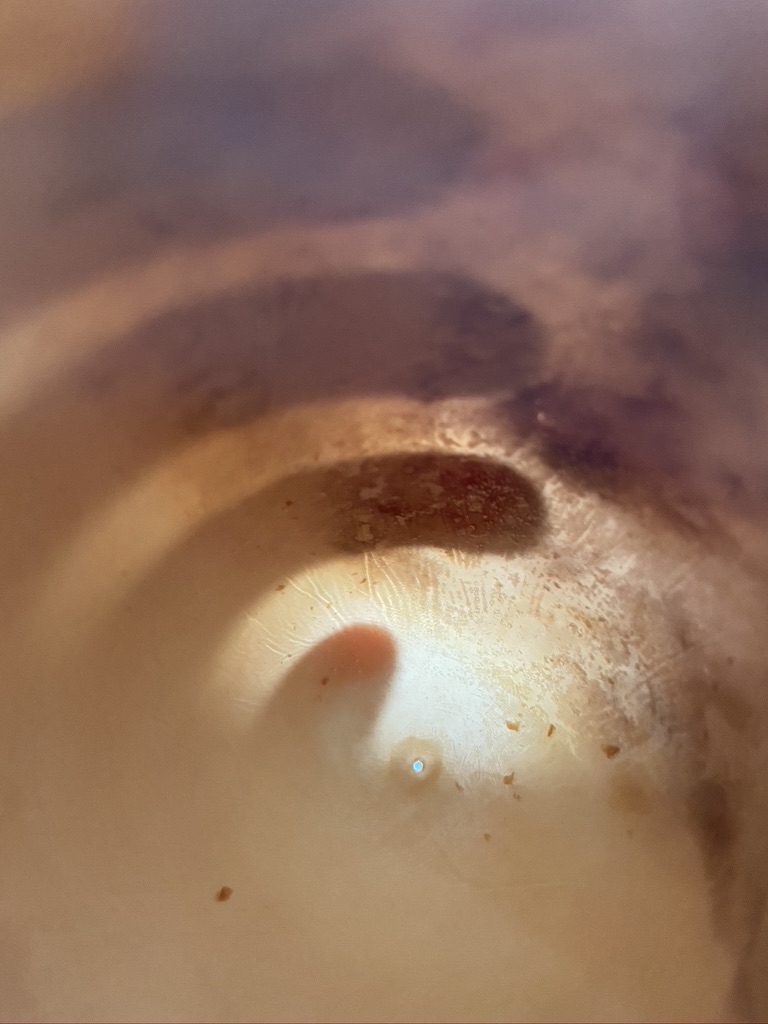 Borescope Photograph Taken Inside a Blown Rotten Goose Egg (Alternate View 2)