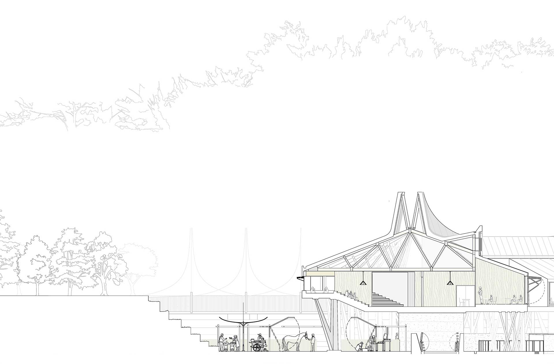 Section through the School and Market