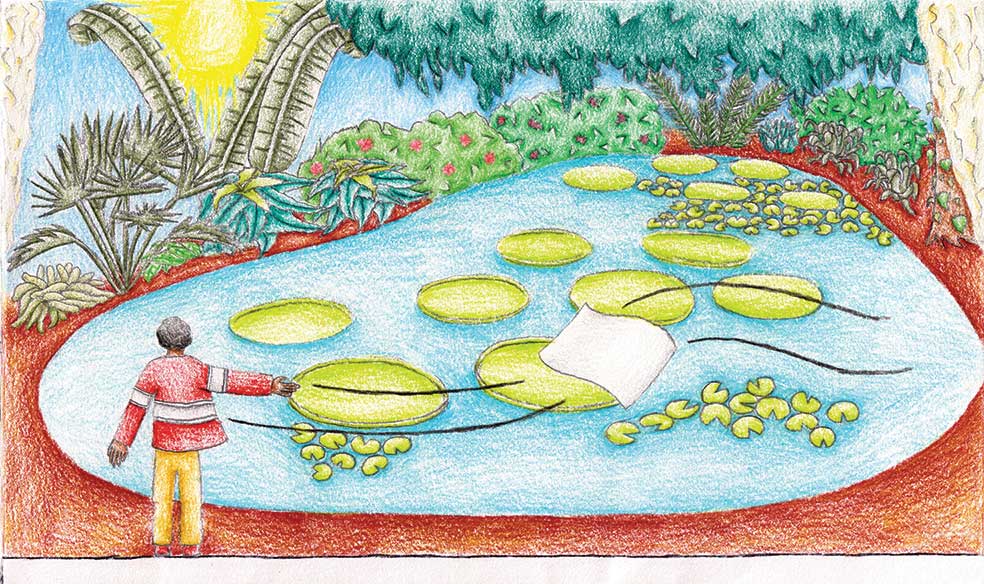 A view of a hidden pond surrounded by plants with the boy staring at it from the left hand side. The map is blown out of his hand by the wind.