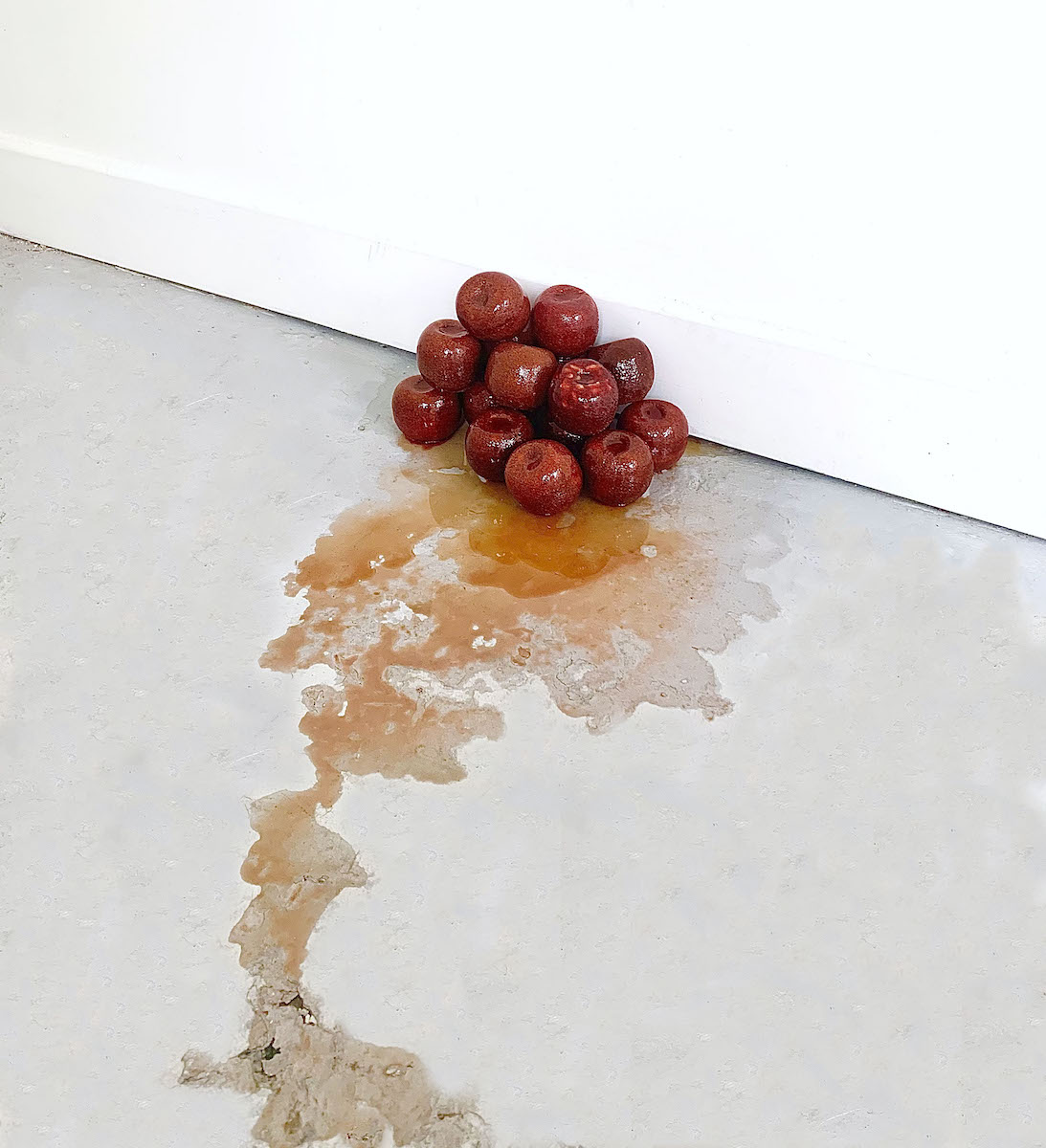 Sugar Apples during decomposition 