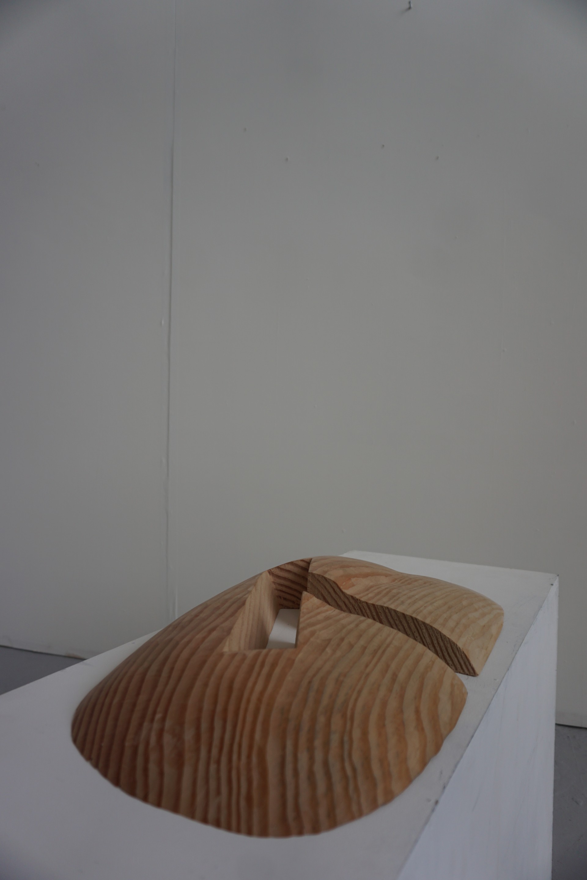 A carved wooden hill with a large section quarried away.