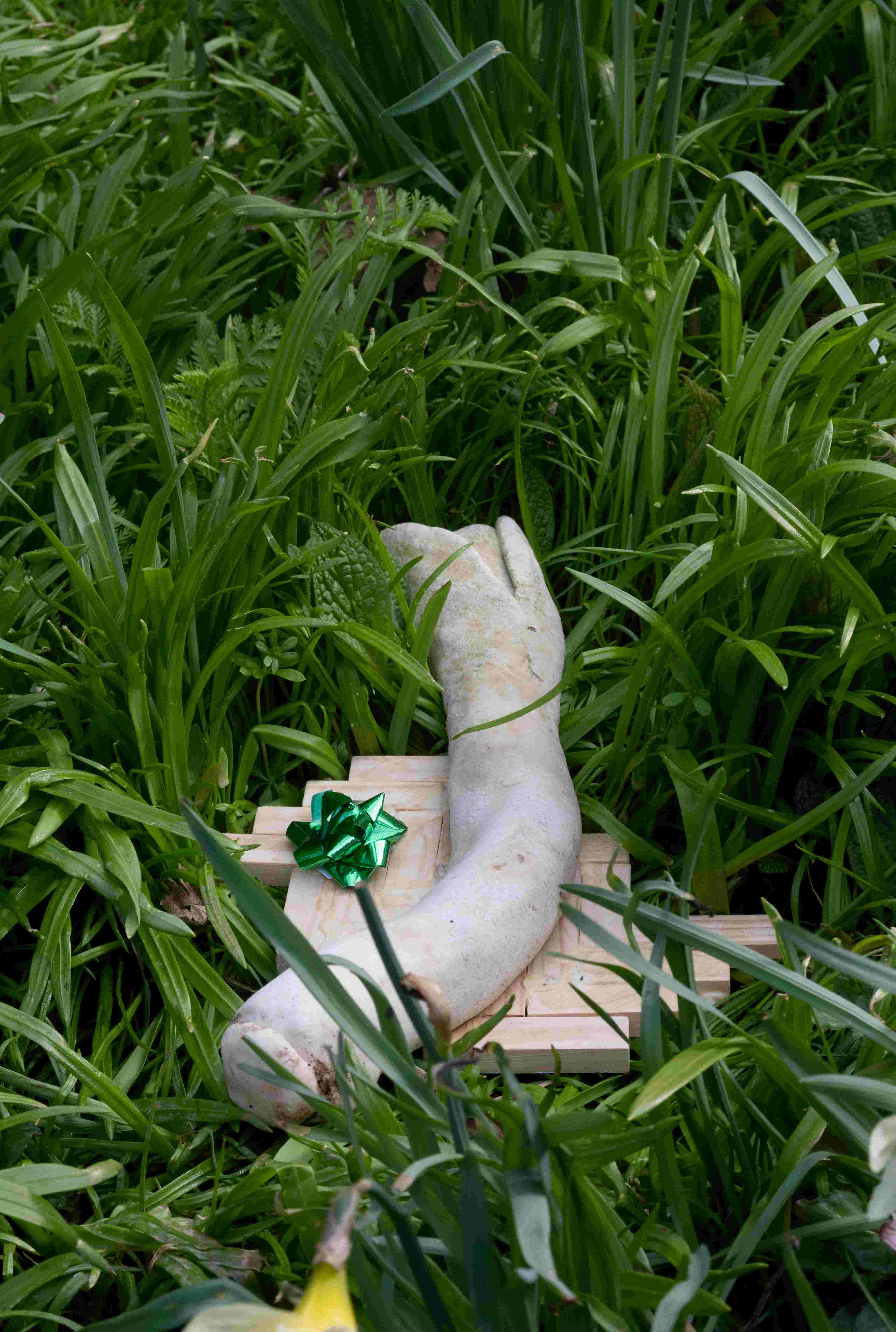 leek in some wild leek 