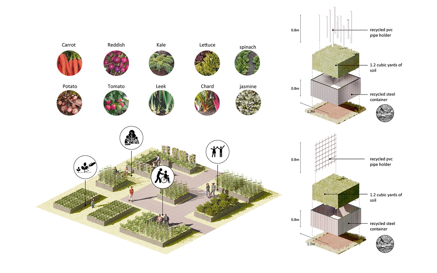 Veg box in the eco-agro park